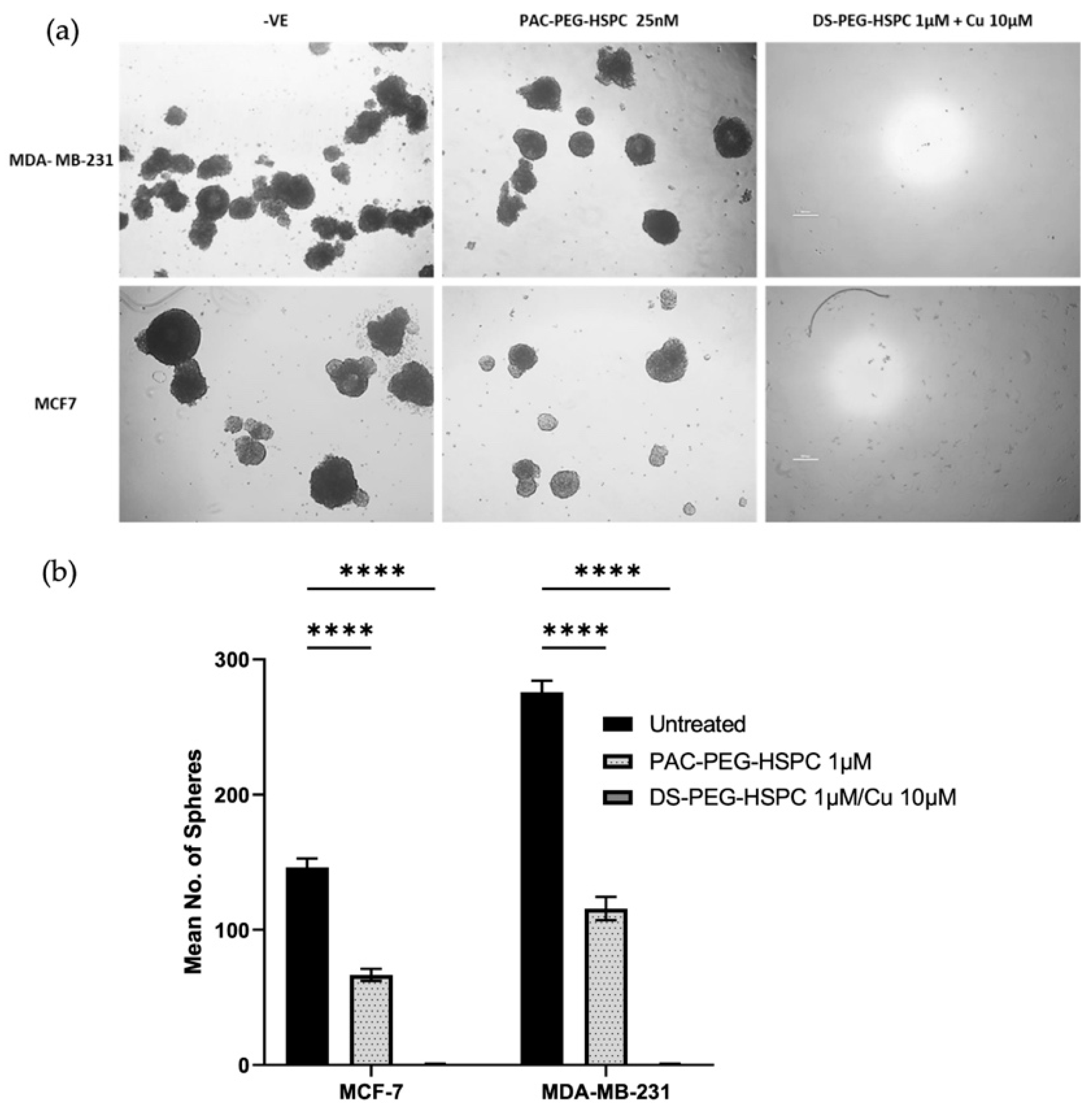 Pharmaceuticals 18 00487 g004