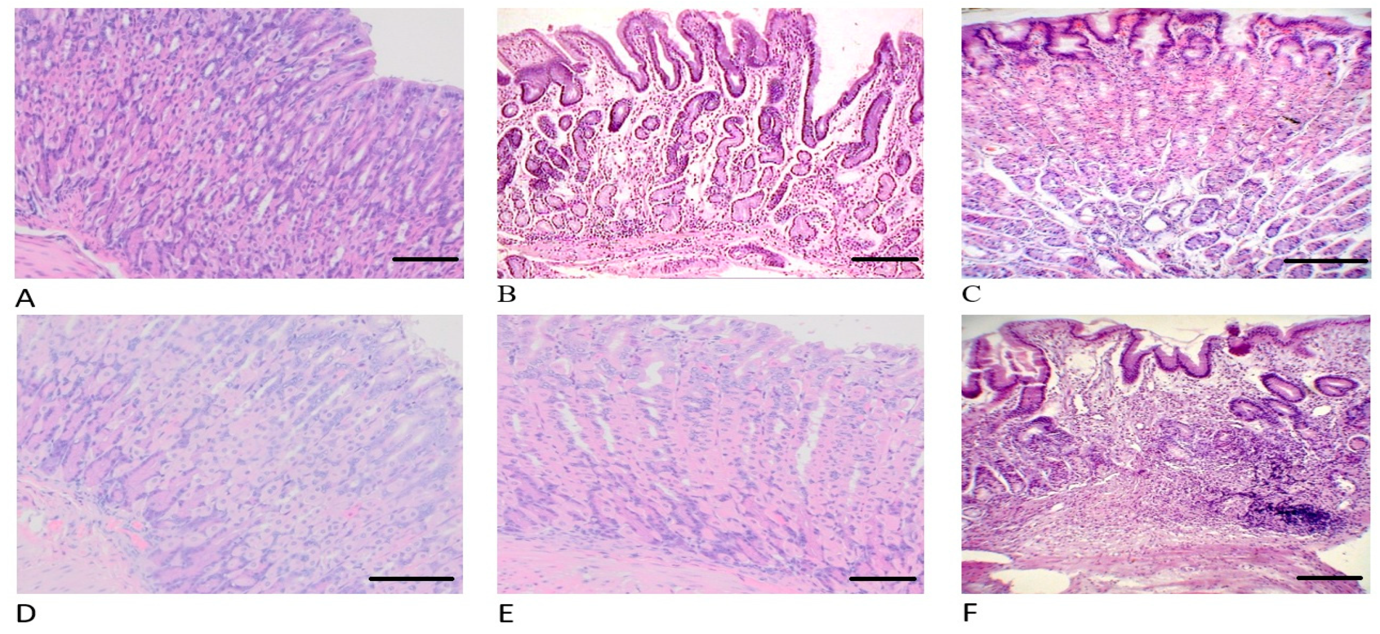 Pharmaceuticals 18 00502 g004