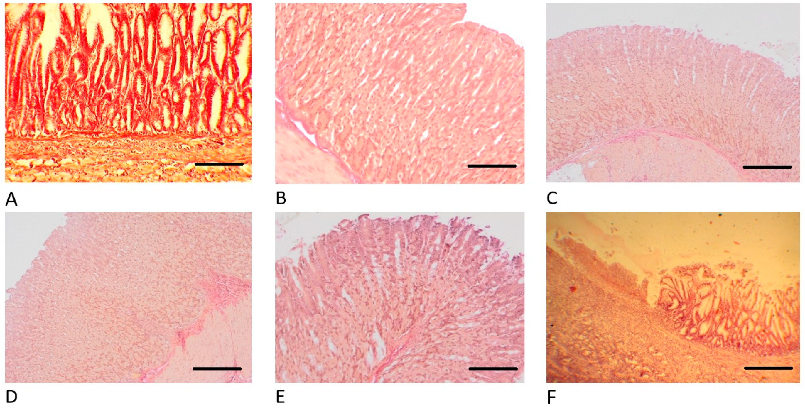 Pharmaceuticals 18 00502 g005