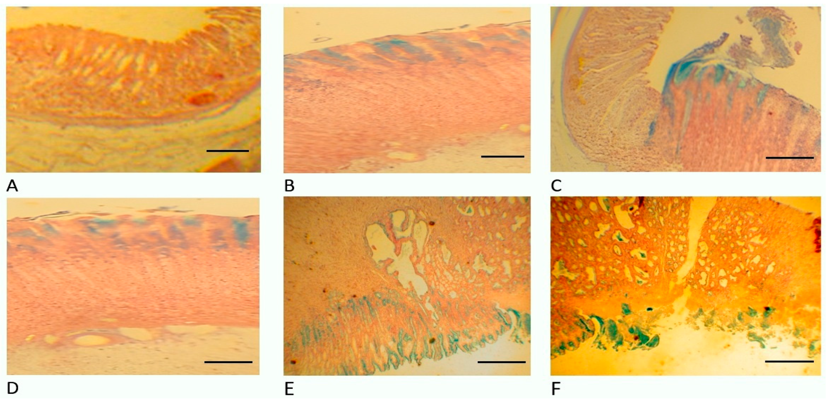 Pharmaceuticals 18 00502 g006
