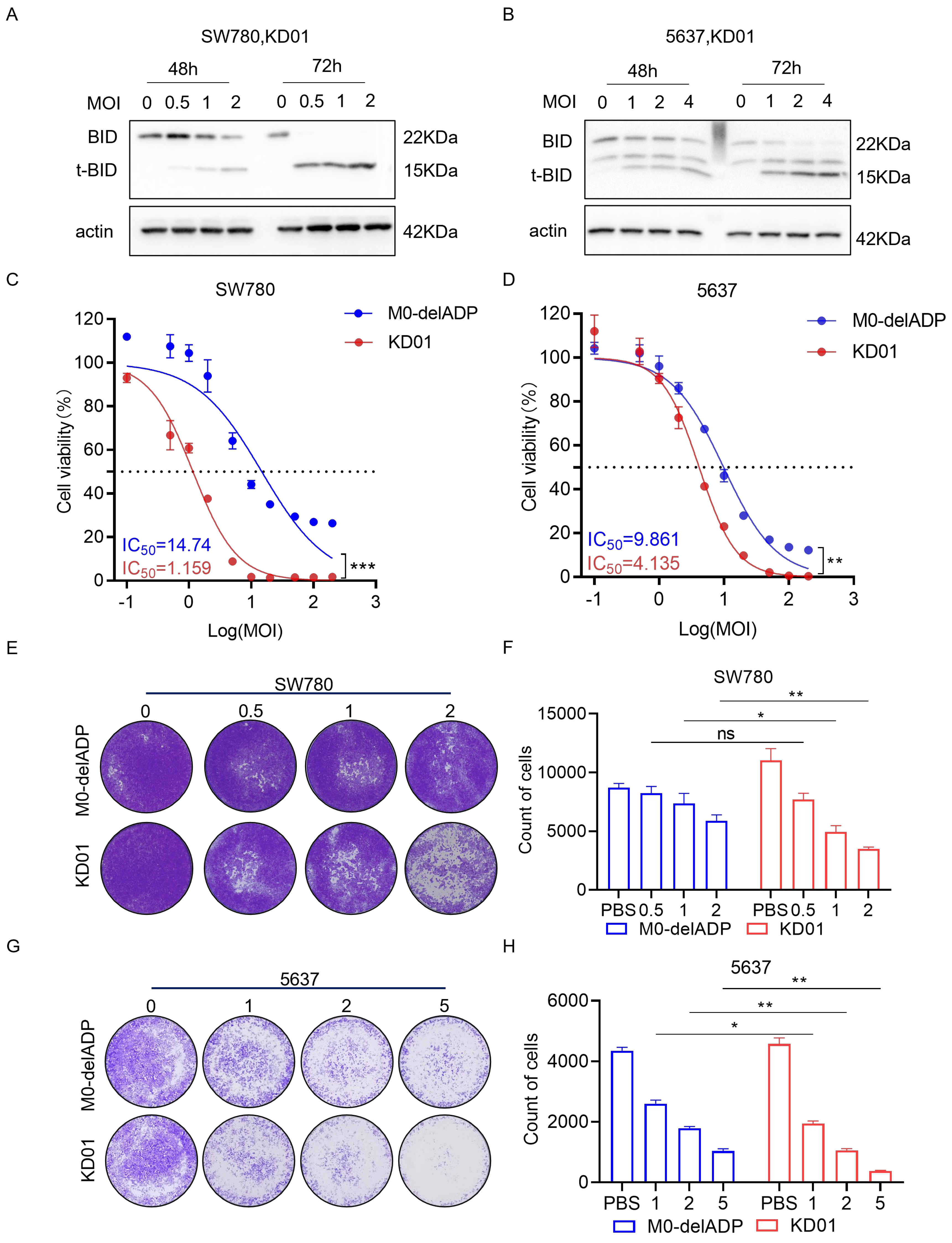Pharmaceuticals 18 00511 g001