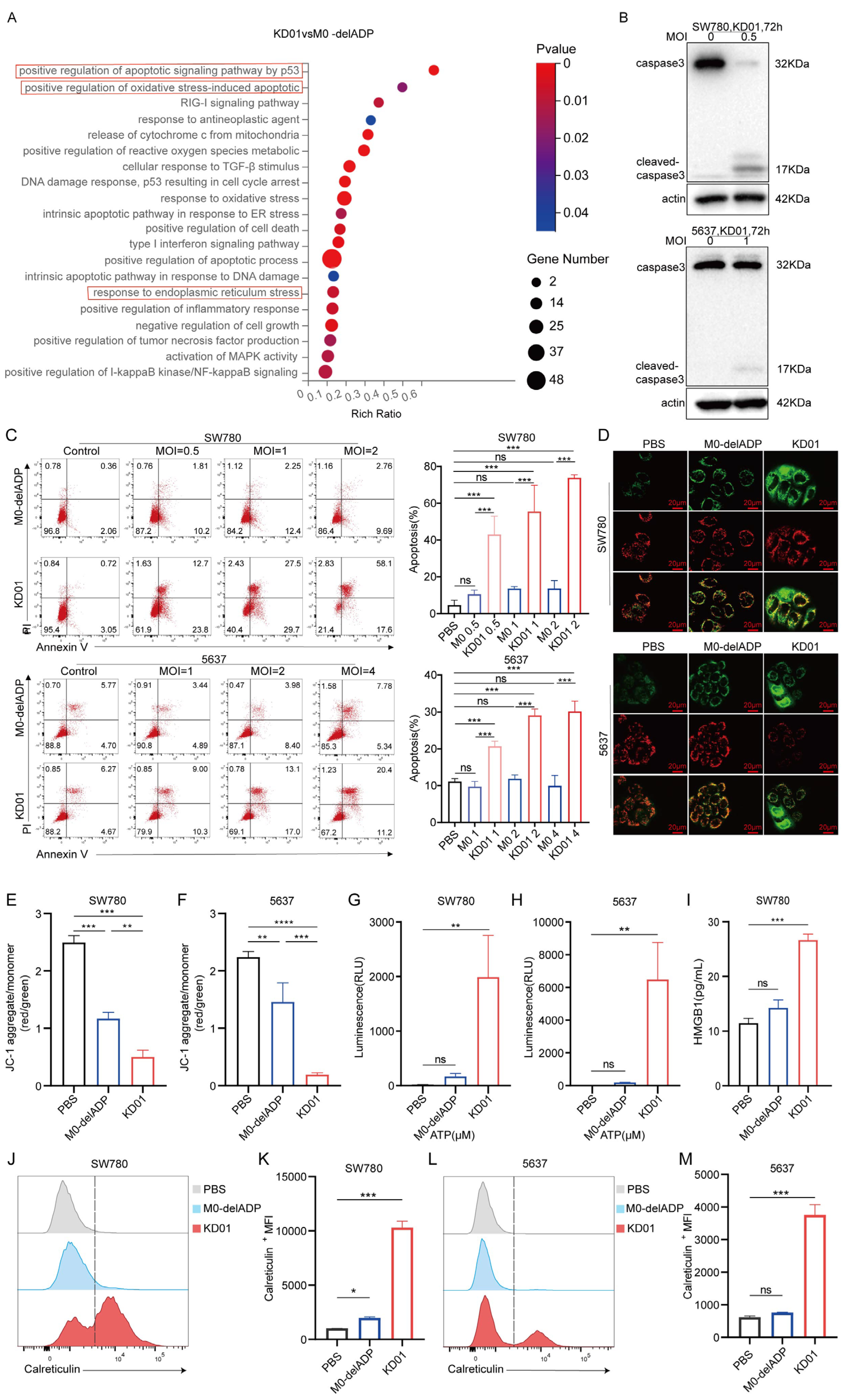 Pharmaceuticals 18 00511 g002
