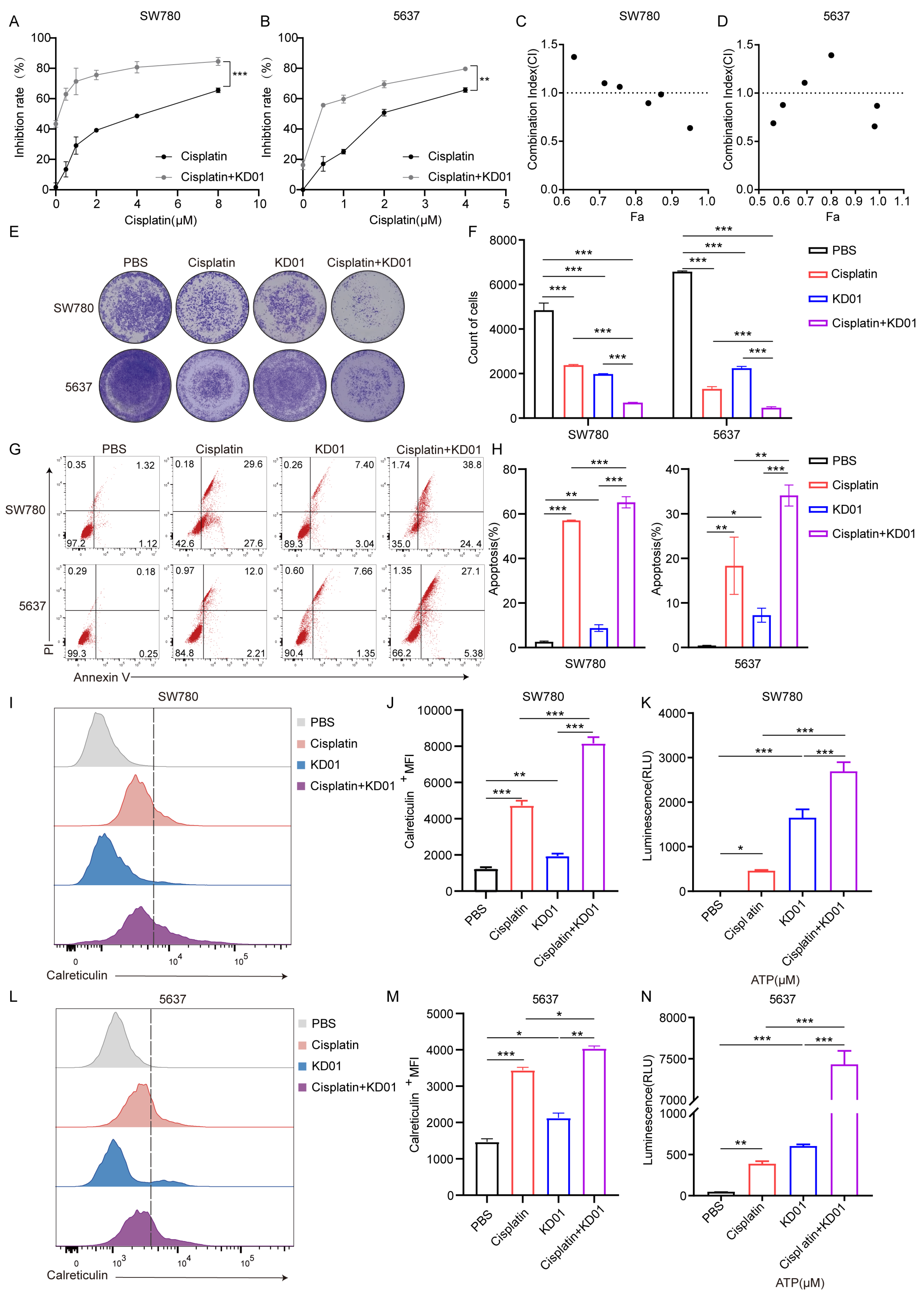 Pharmaceuticals 18 00511 g003