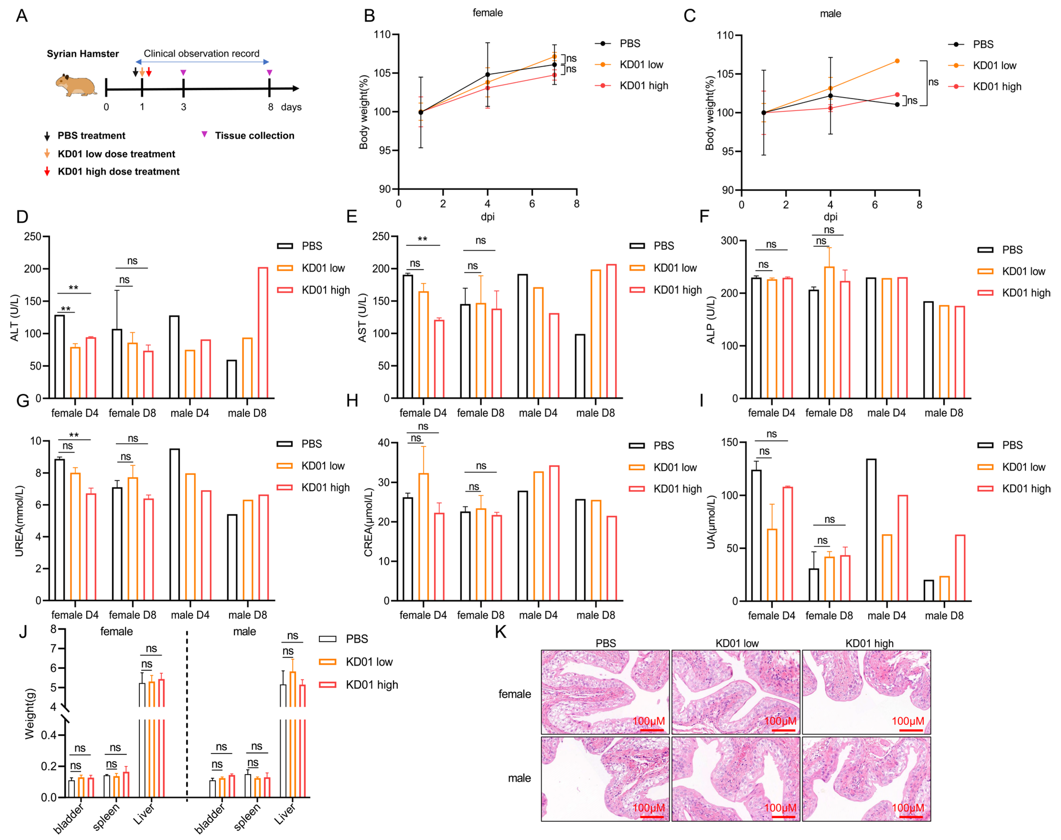 Pharmaceuticals 18 00511 g005