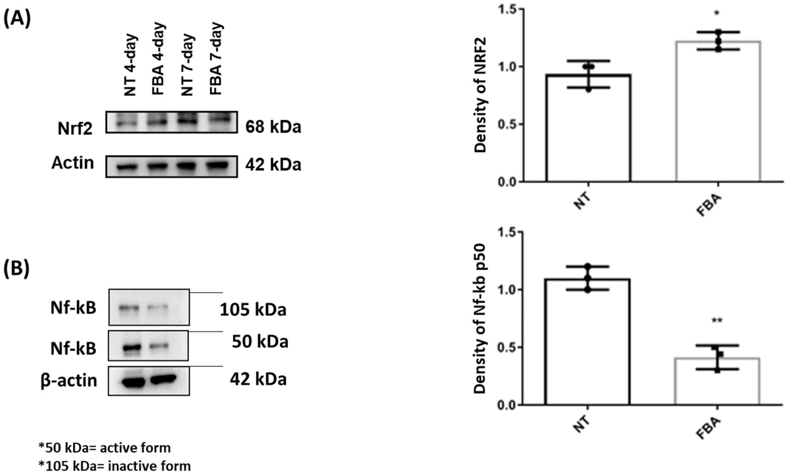 Pharmaceuticals 18 00517 g003