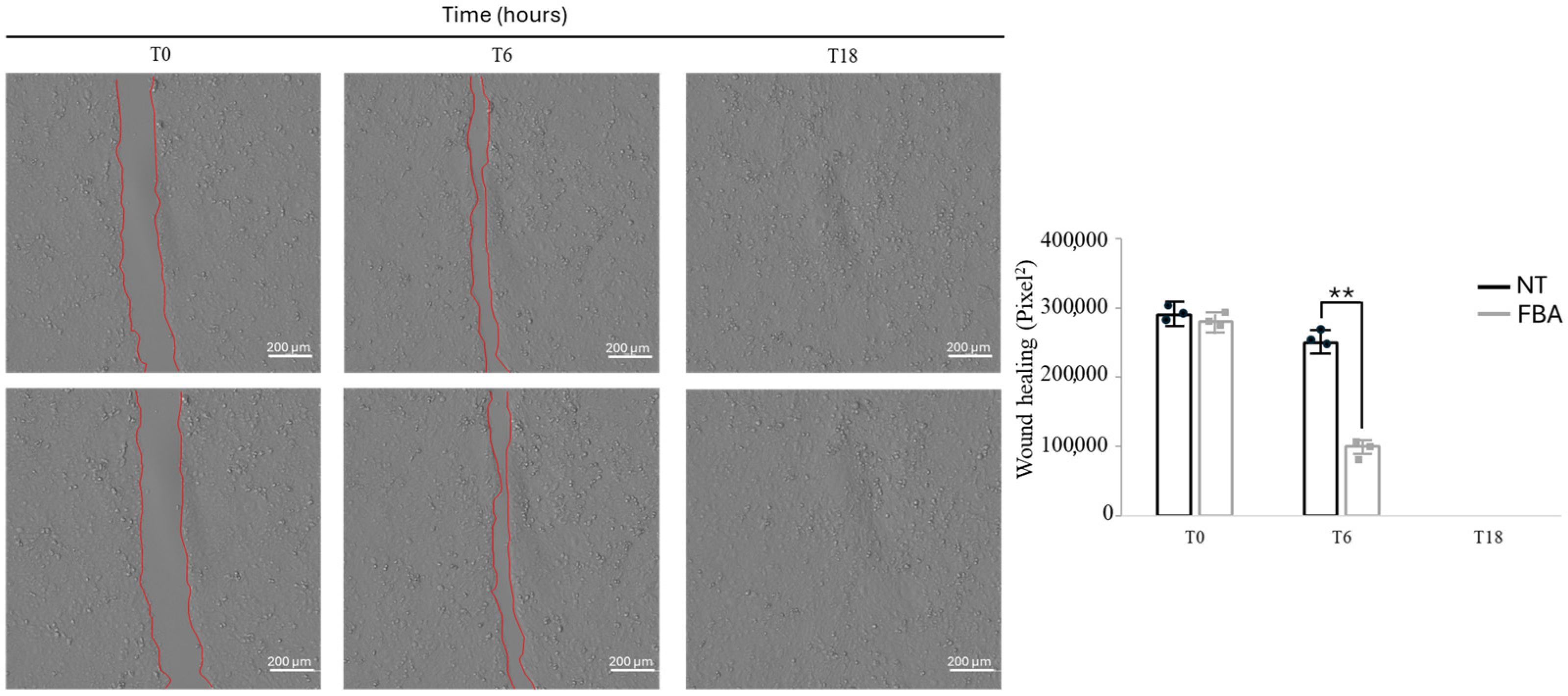 Pharmaceuticals 18 00517 g006