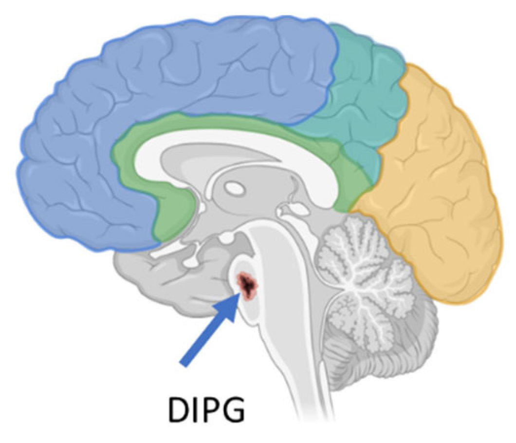 Pharmaceuticals 18 00525 g001