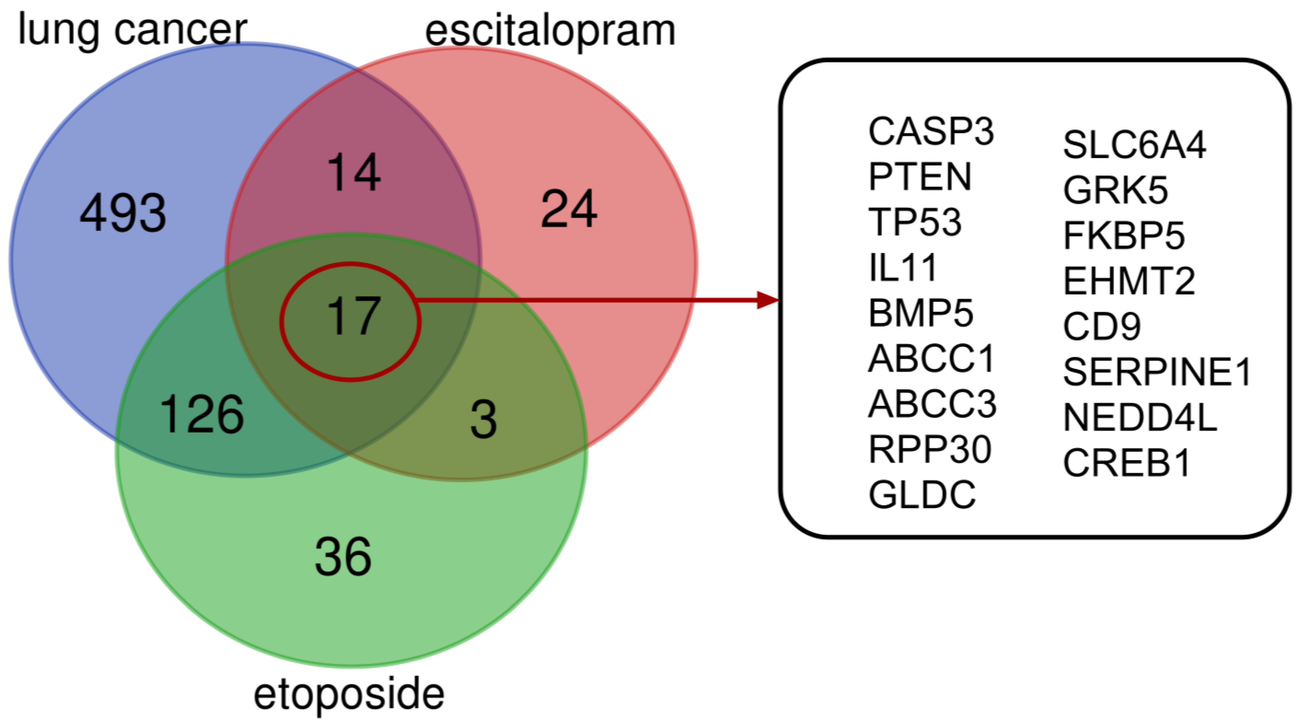 Pharmaceuticals 18 00531 g008