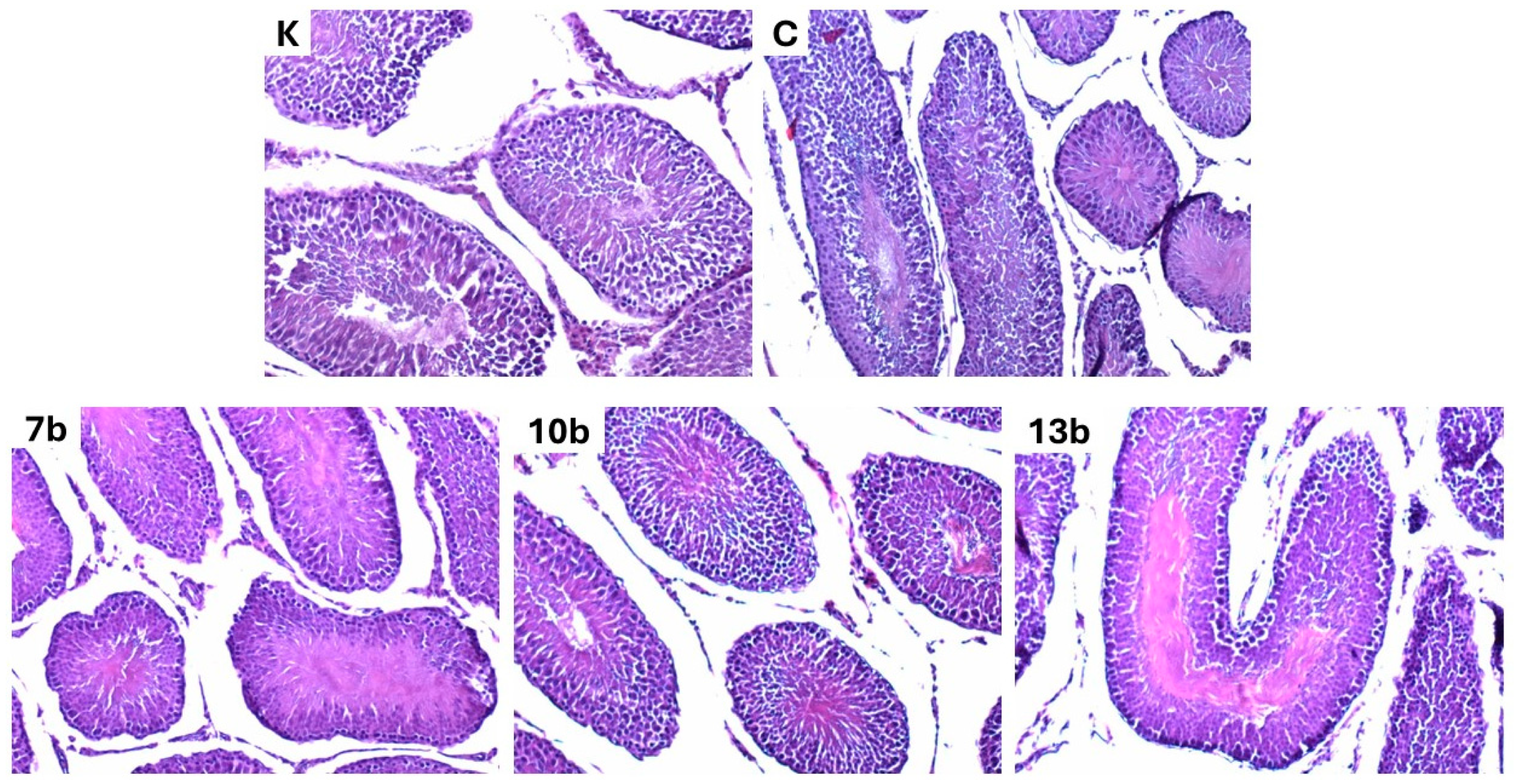 Pharmaceuticals 18 00546 g004
