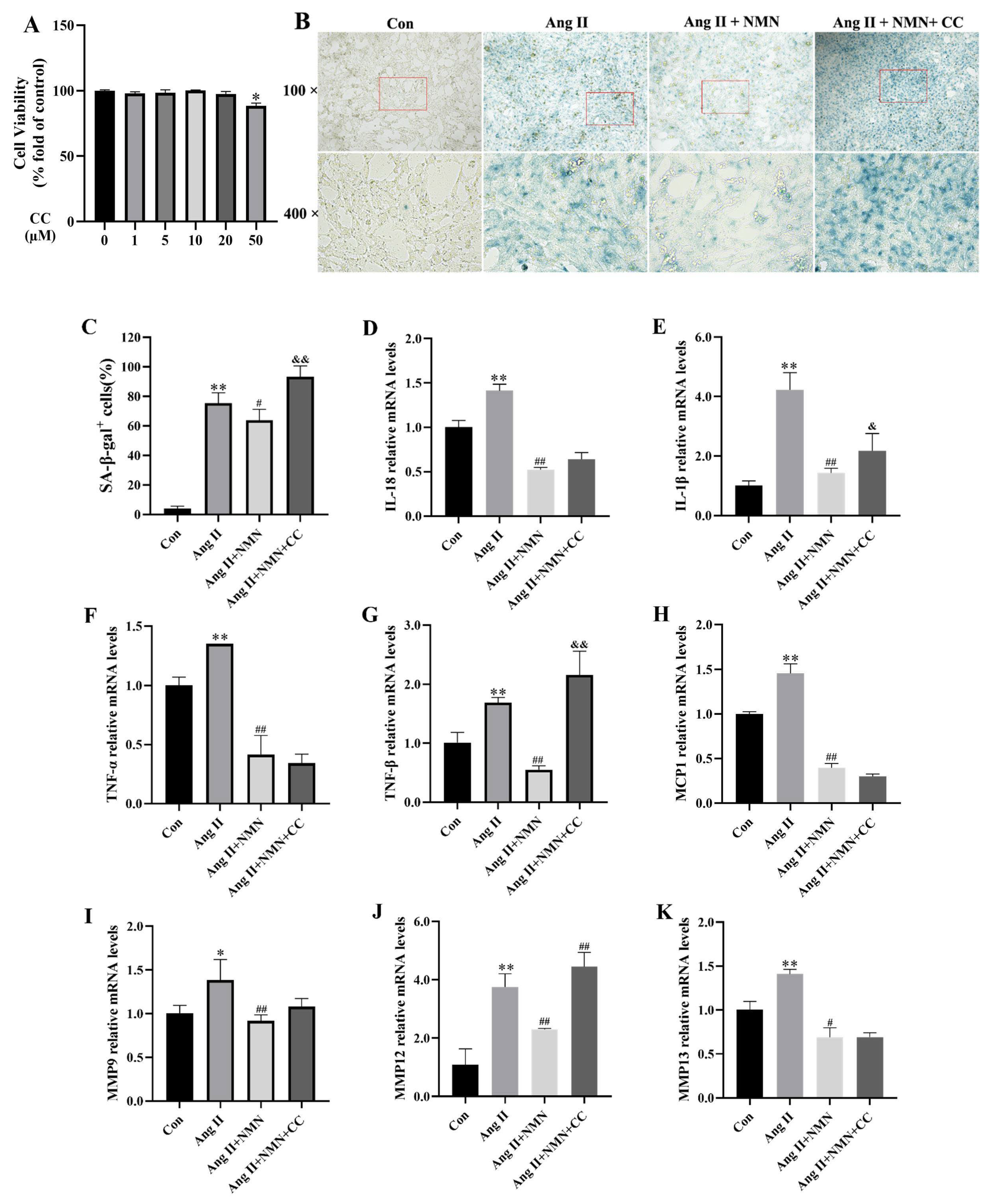 Pharmaceuticals 18 00553 g005