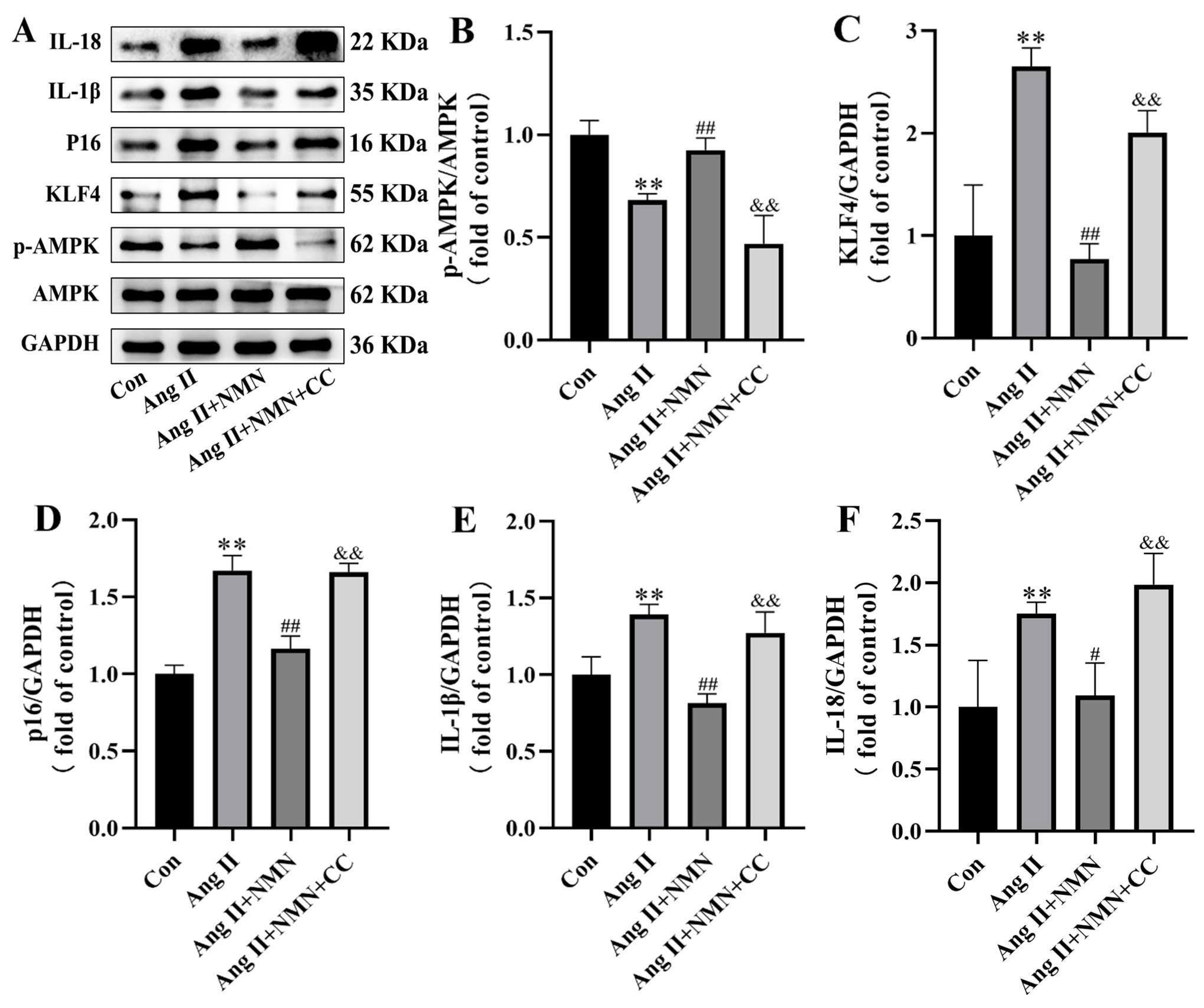 Pharmaceuticals 18 00553 g006