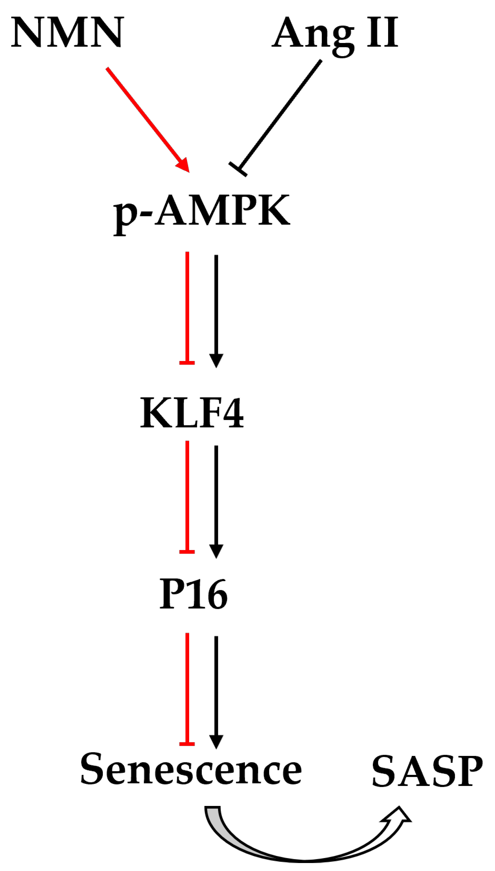 Pharmaceuticals 18 00553 g007