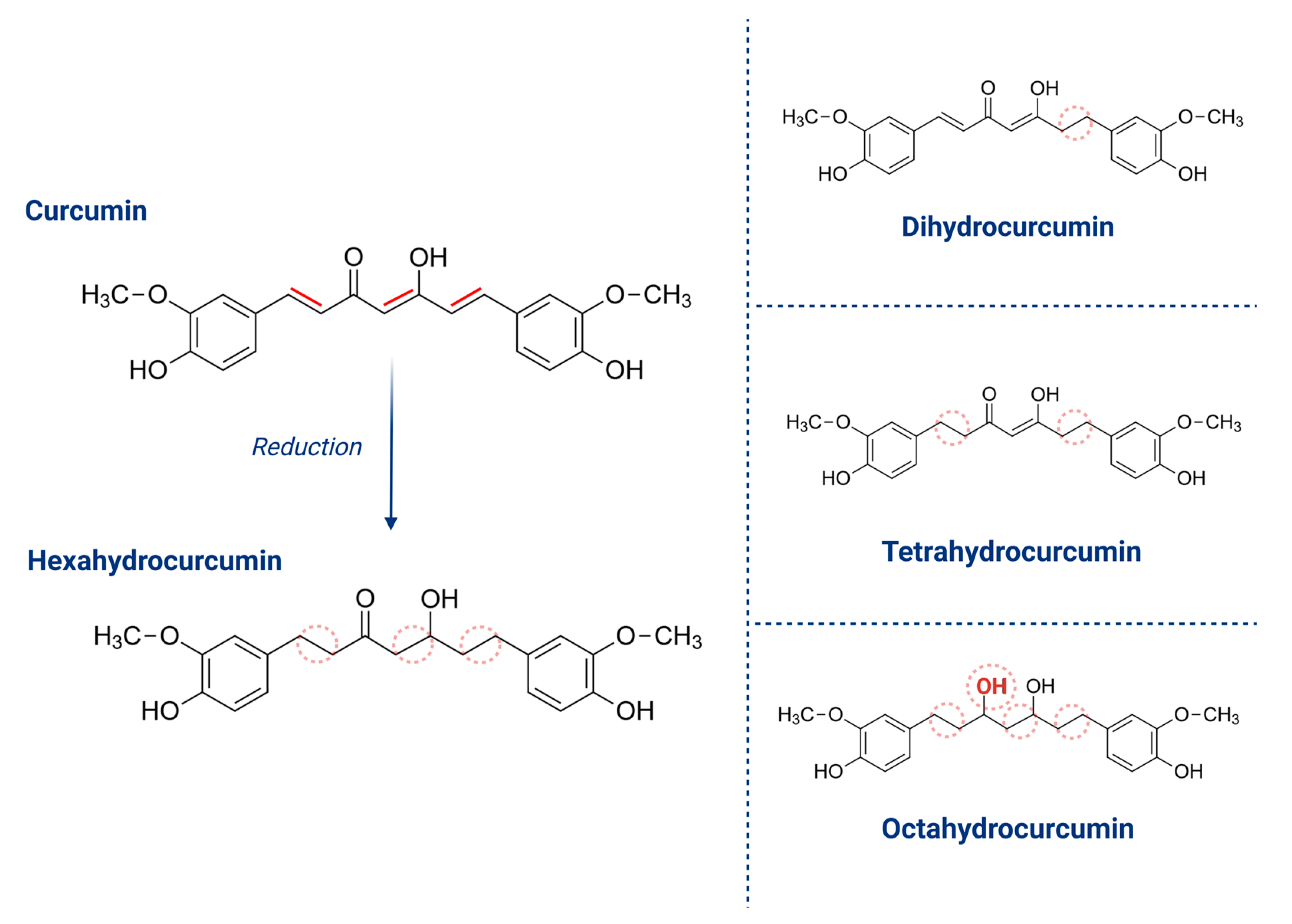 Pharmaceuticals 18 00554 g003