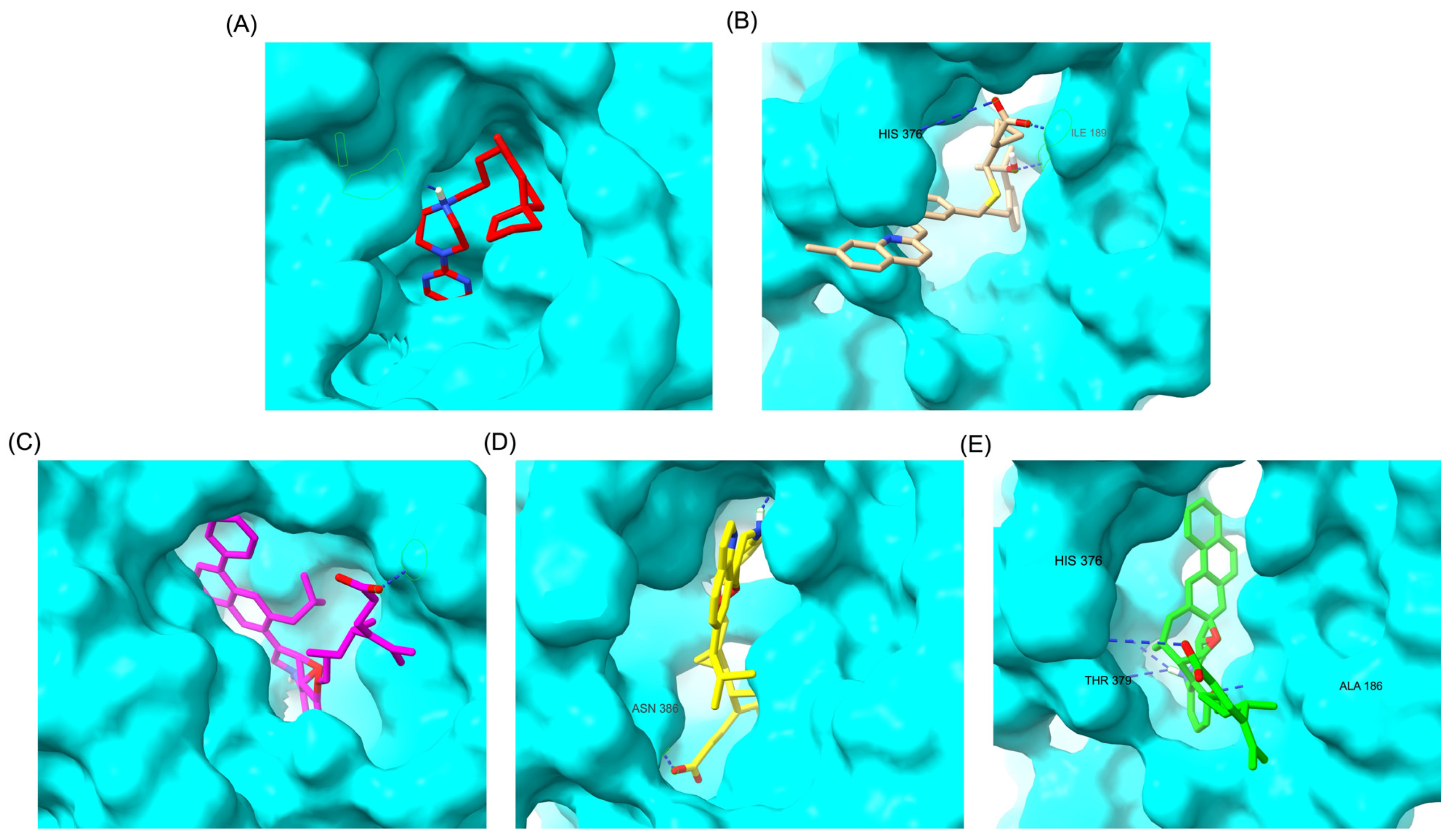 Pharmaceuticals 18 00559 g004