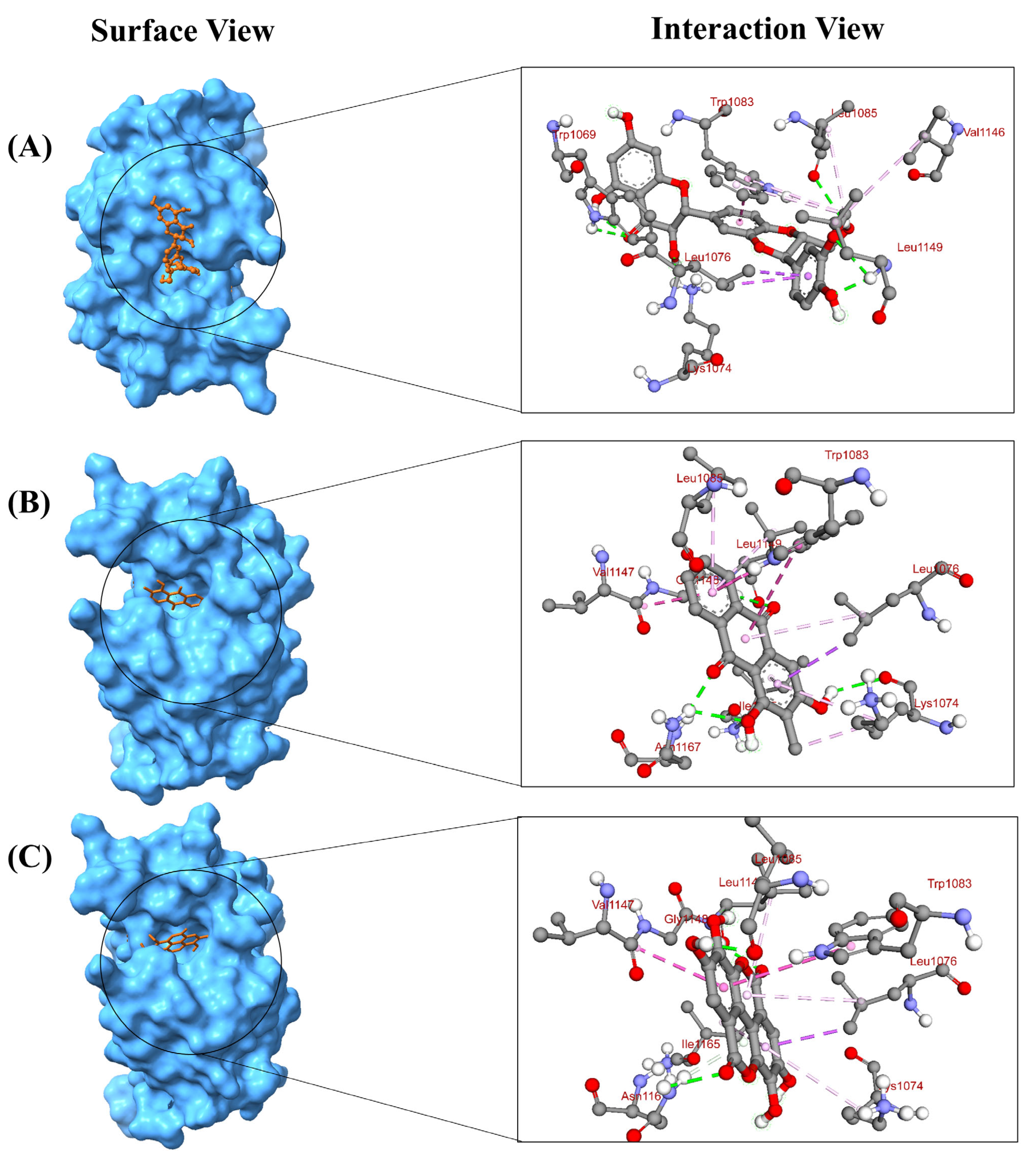 Pharmaceuticals 18 00566 g002