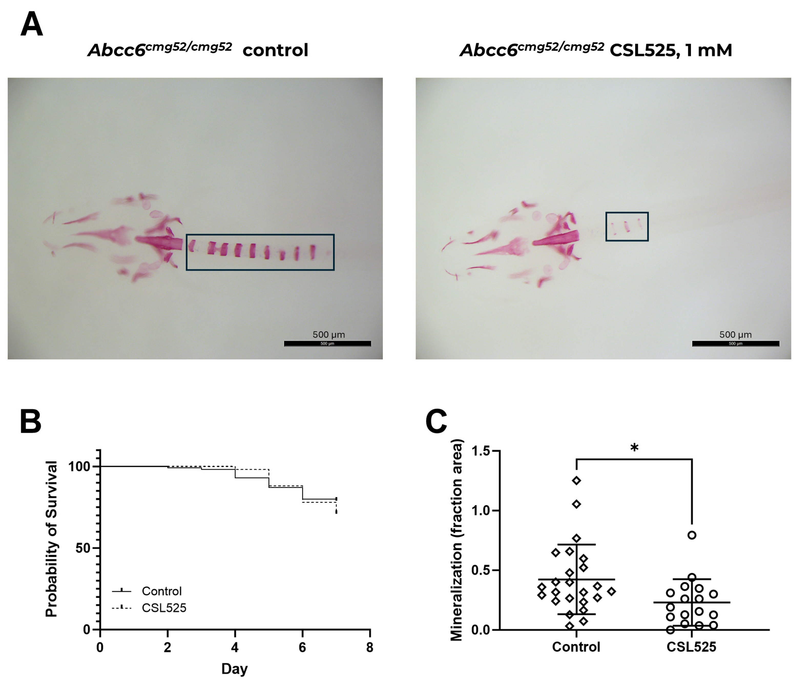 Pharmaceuticals 18 00567 g002