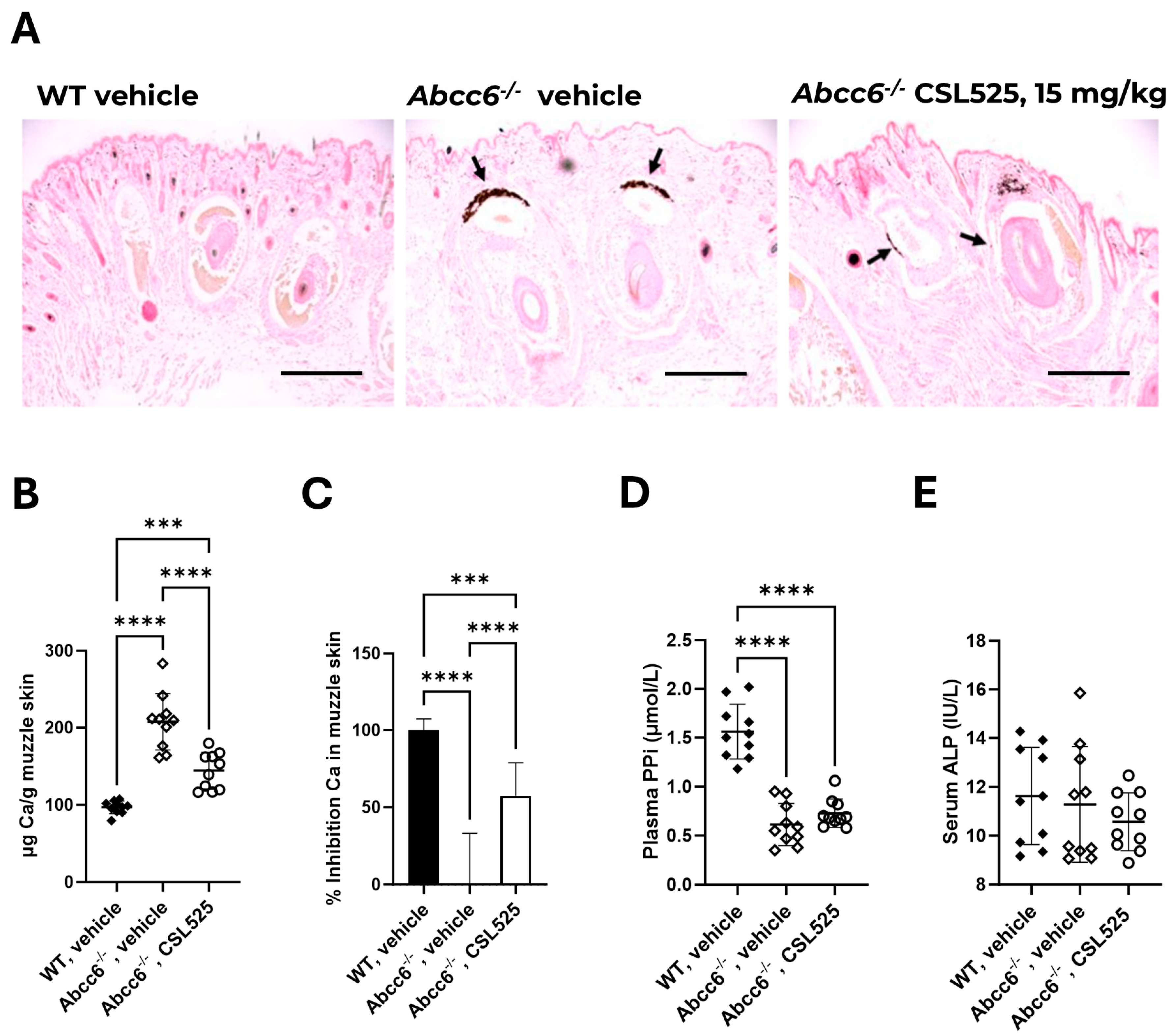 Pharmaceuticals 18 00567 g003