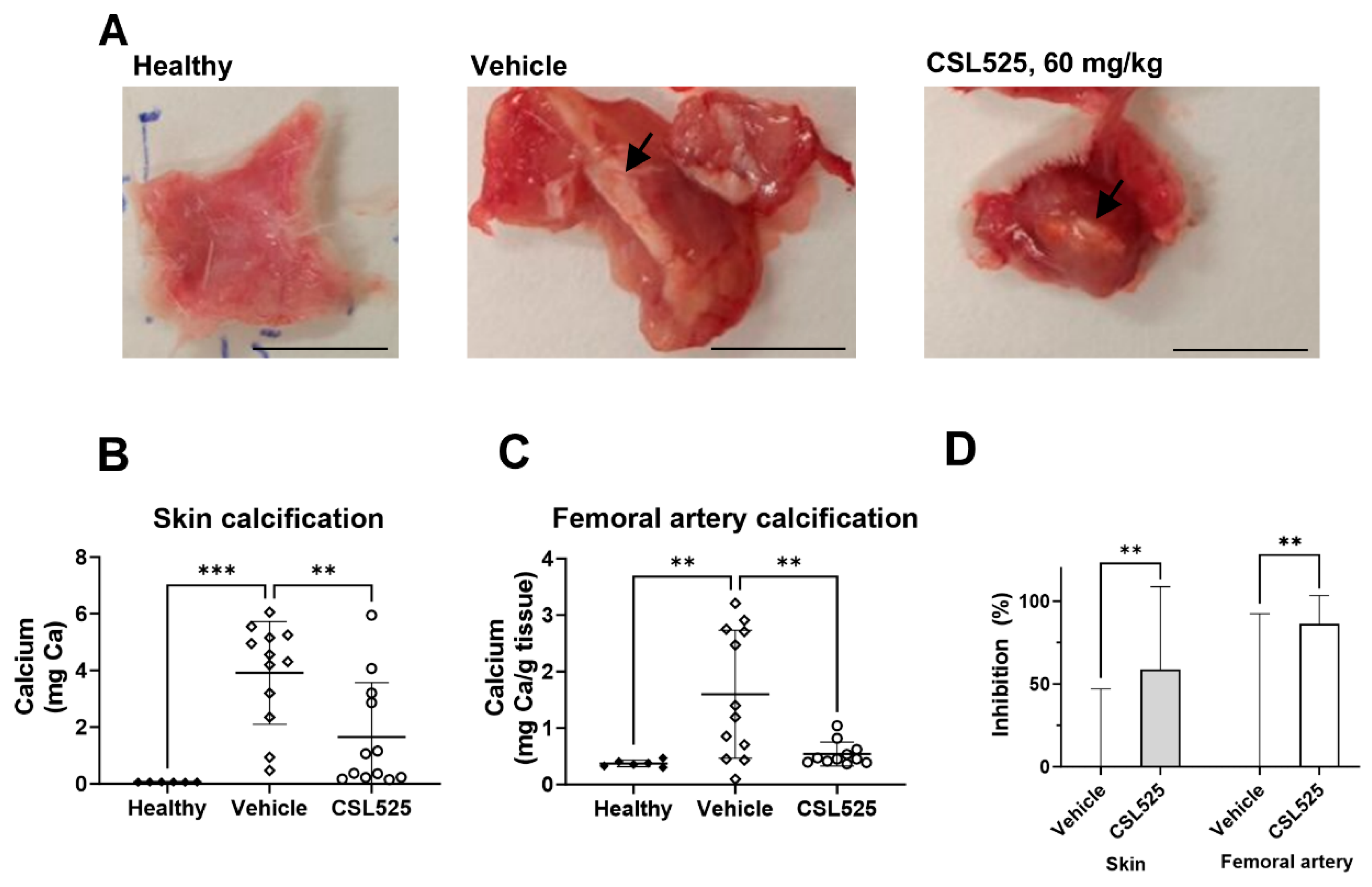 Pharmaceuticals 18 00567 g004