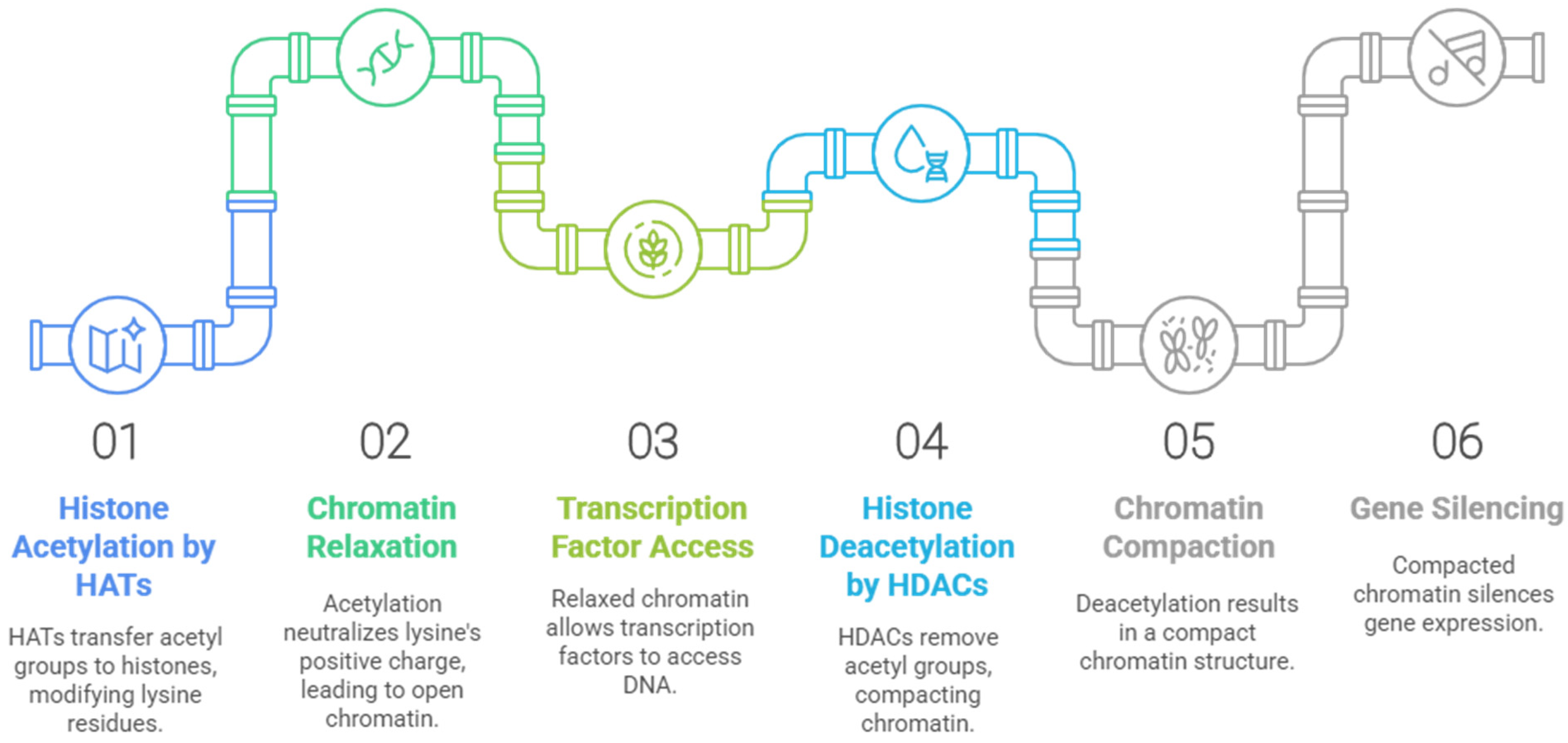 Pharmaceuticals 18 00577 g002
