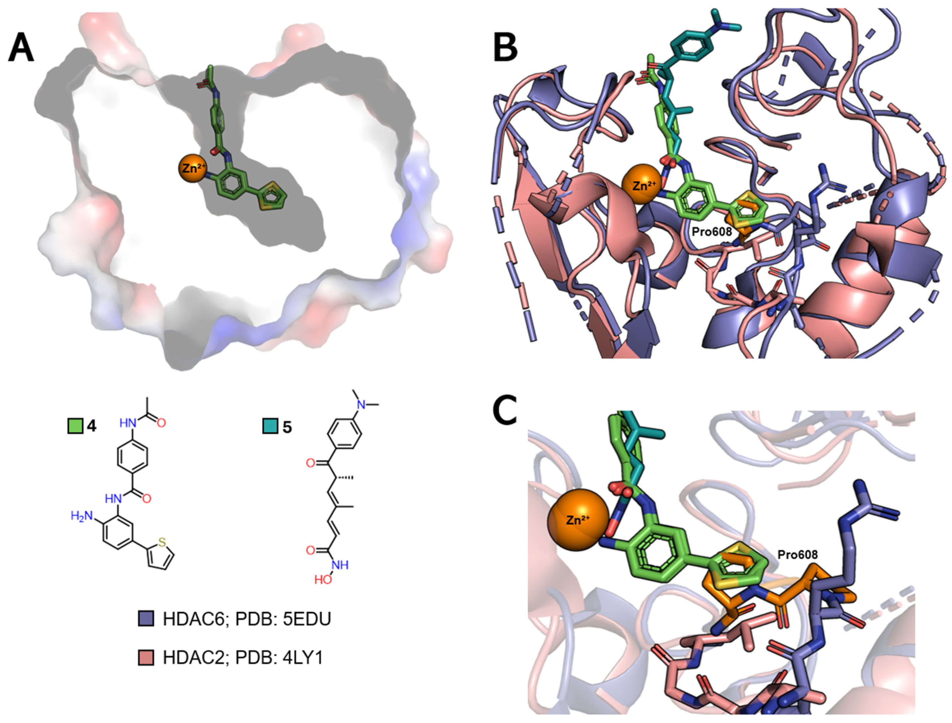 Pharmaceuticals 18 00577 g006