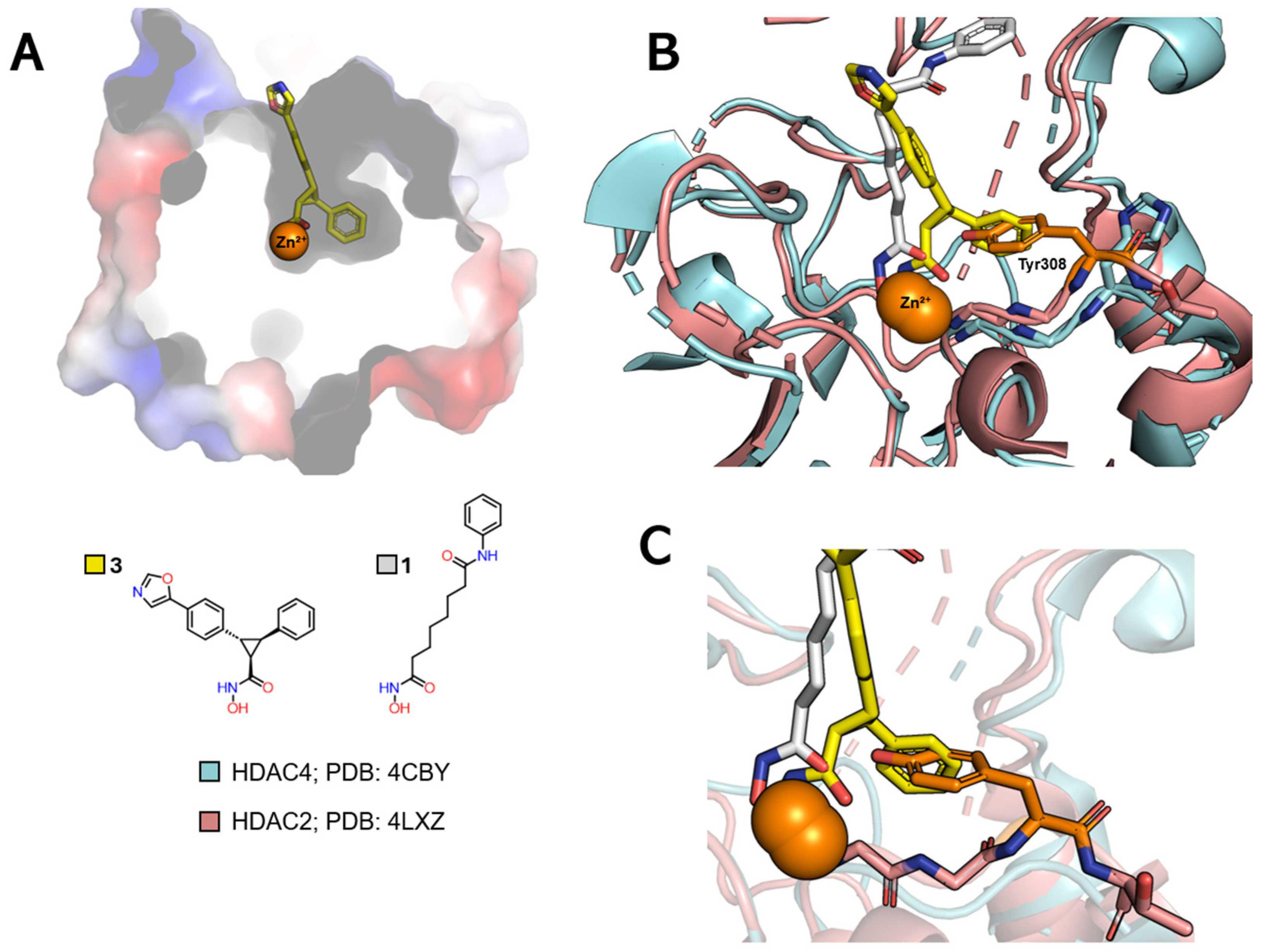Pharmaceuticals 18 00577 g008