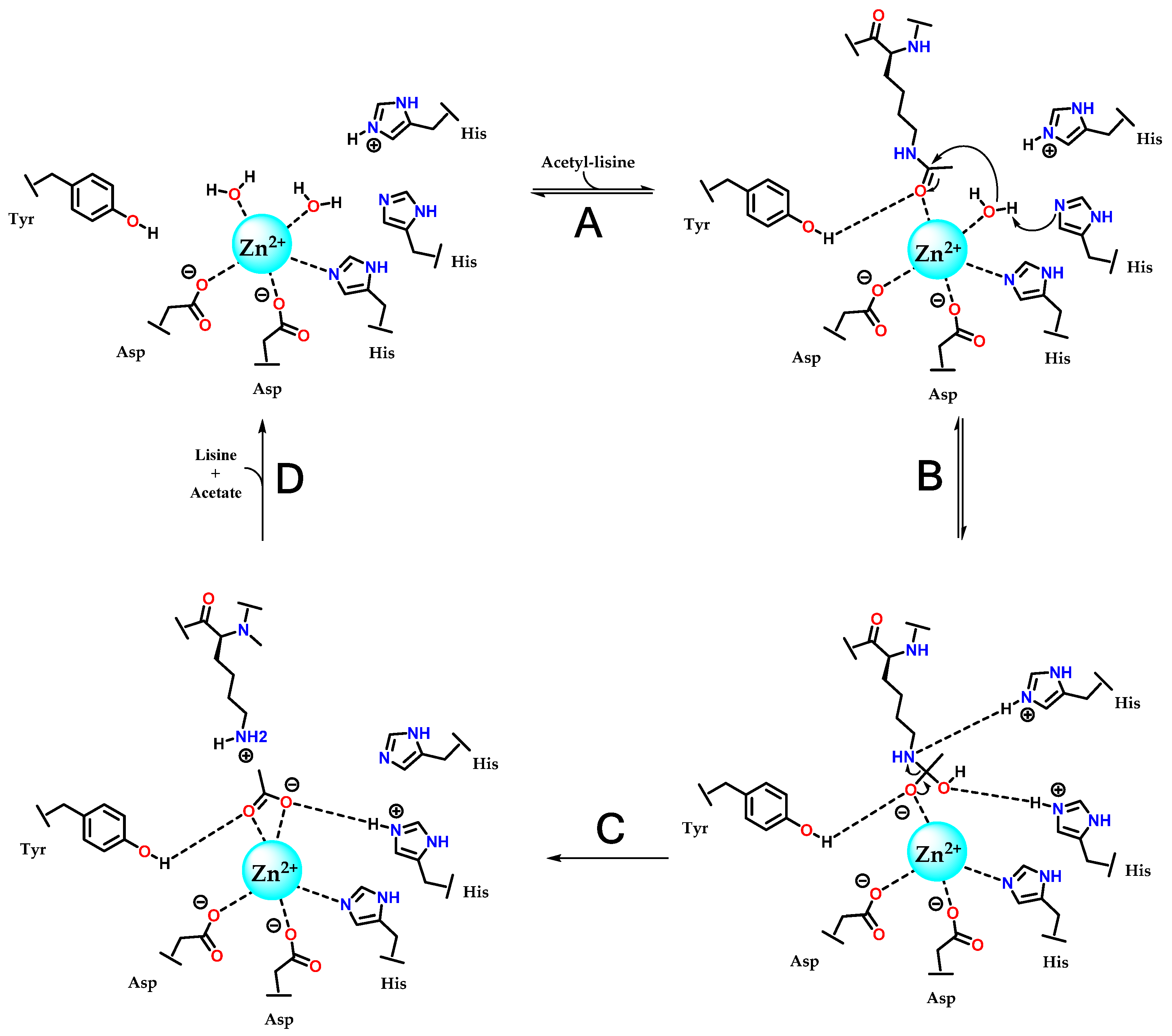 Pharmaceuticals 18 00577 g011
