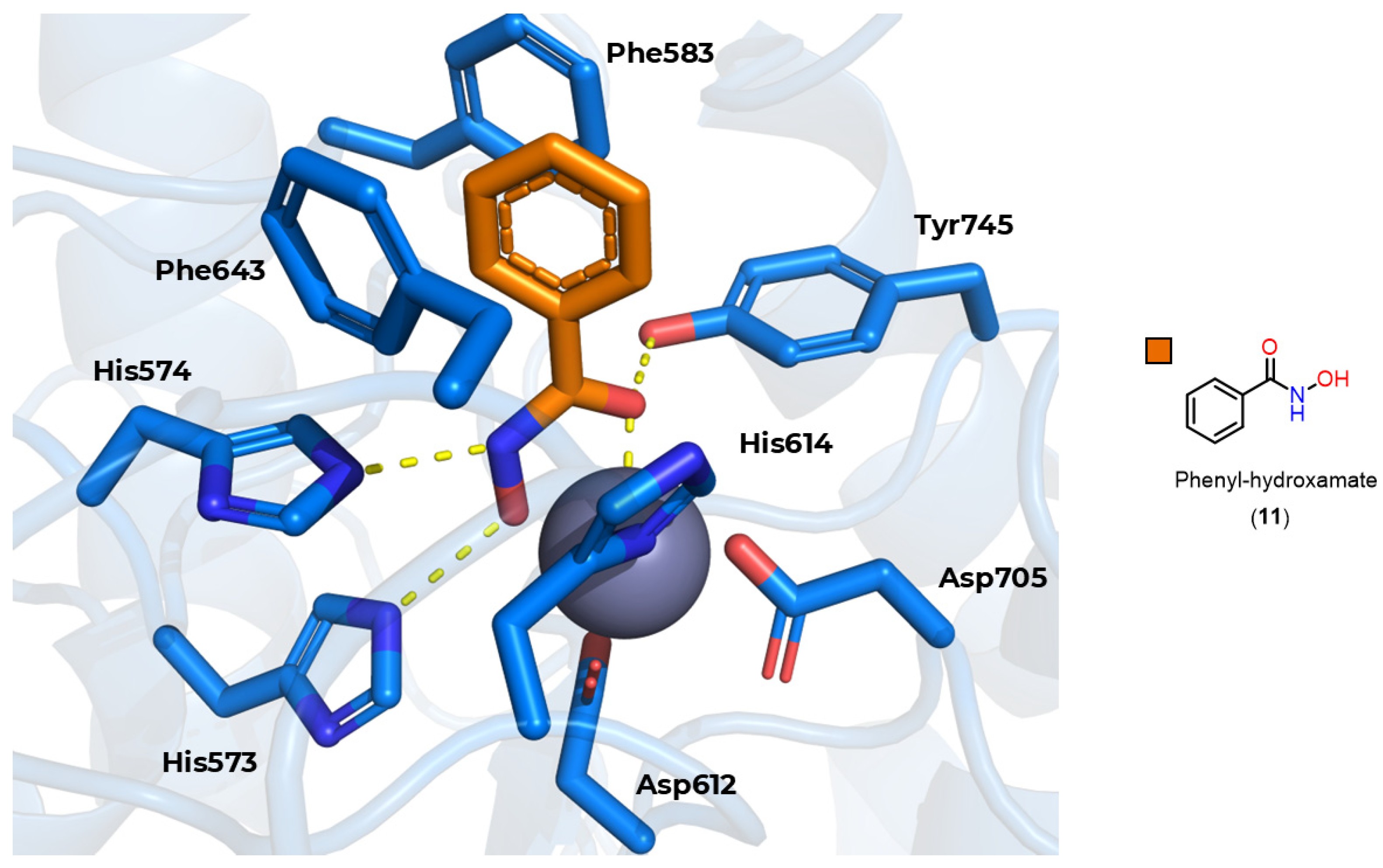 Pharmaceuticals 18 00577 g012