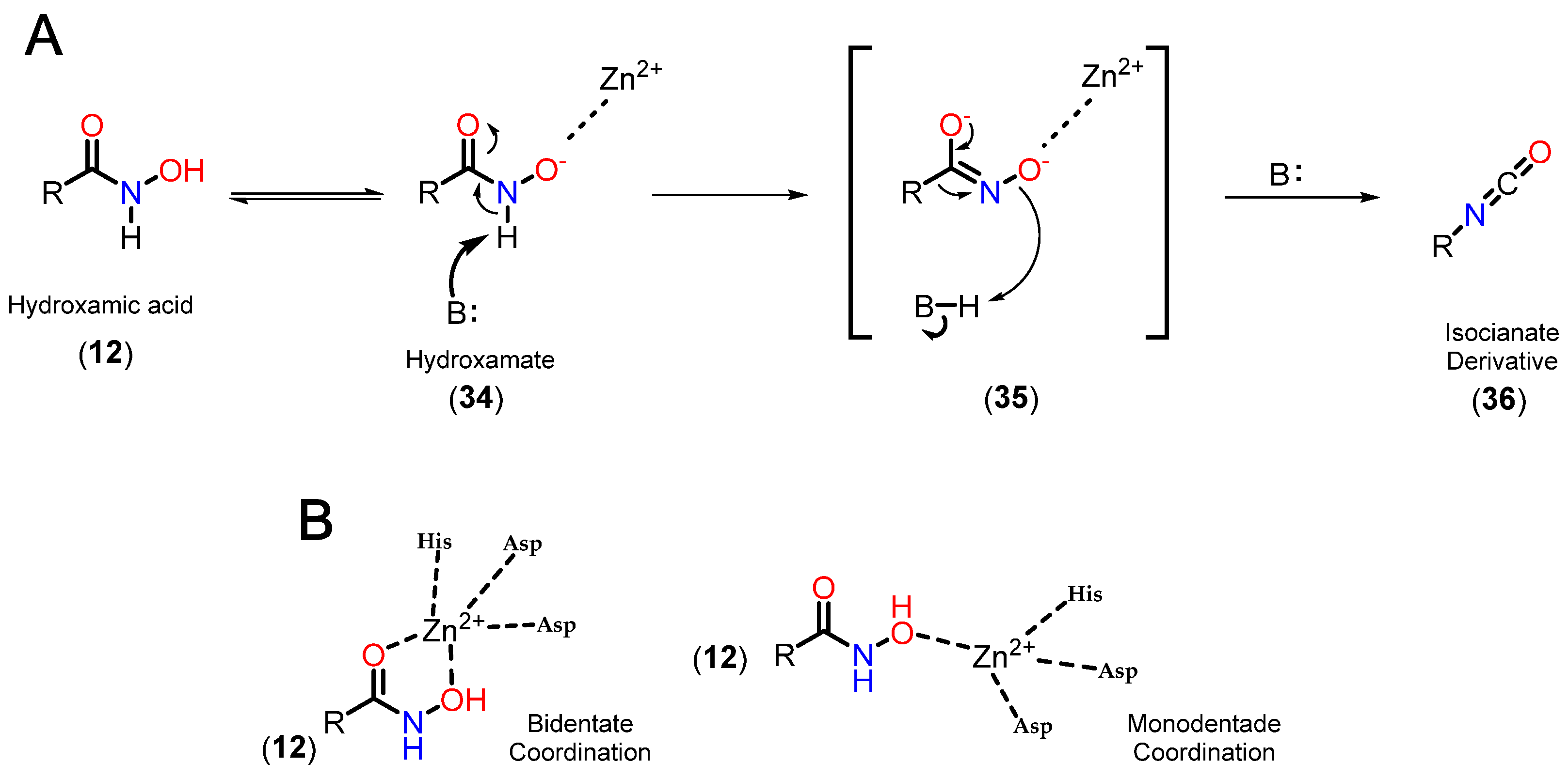 Pharmaceuticals 18 00577 g014