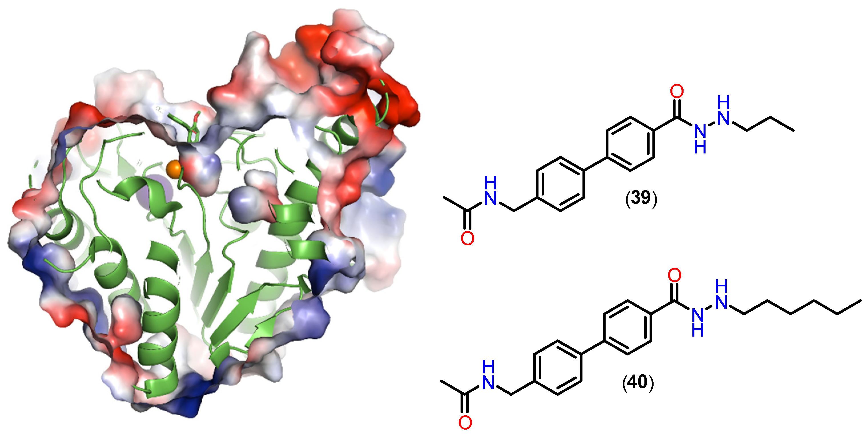 Pharmaceuticals 18 00577 g018