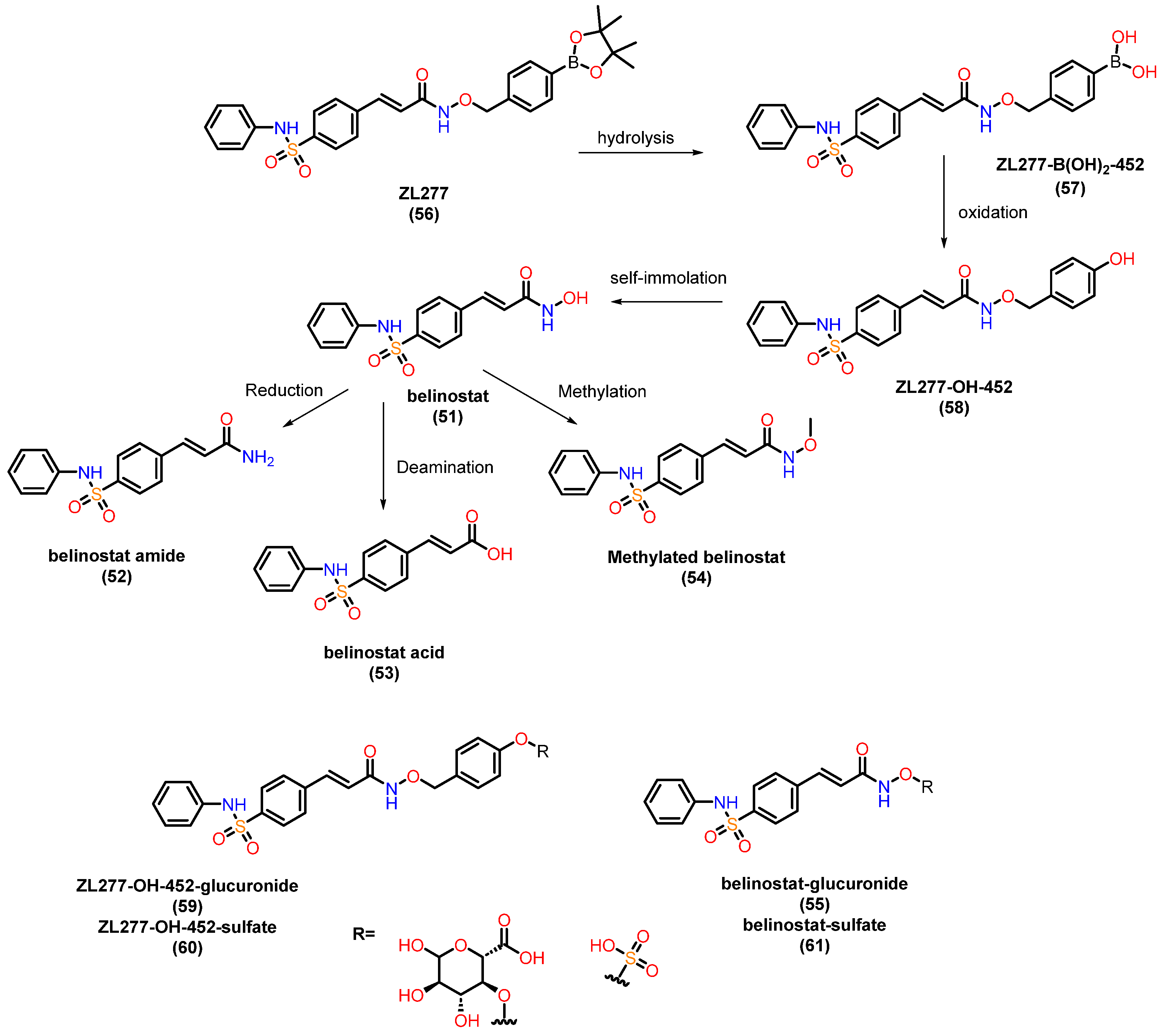 Pharmaceuticals 18 00577 g022