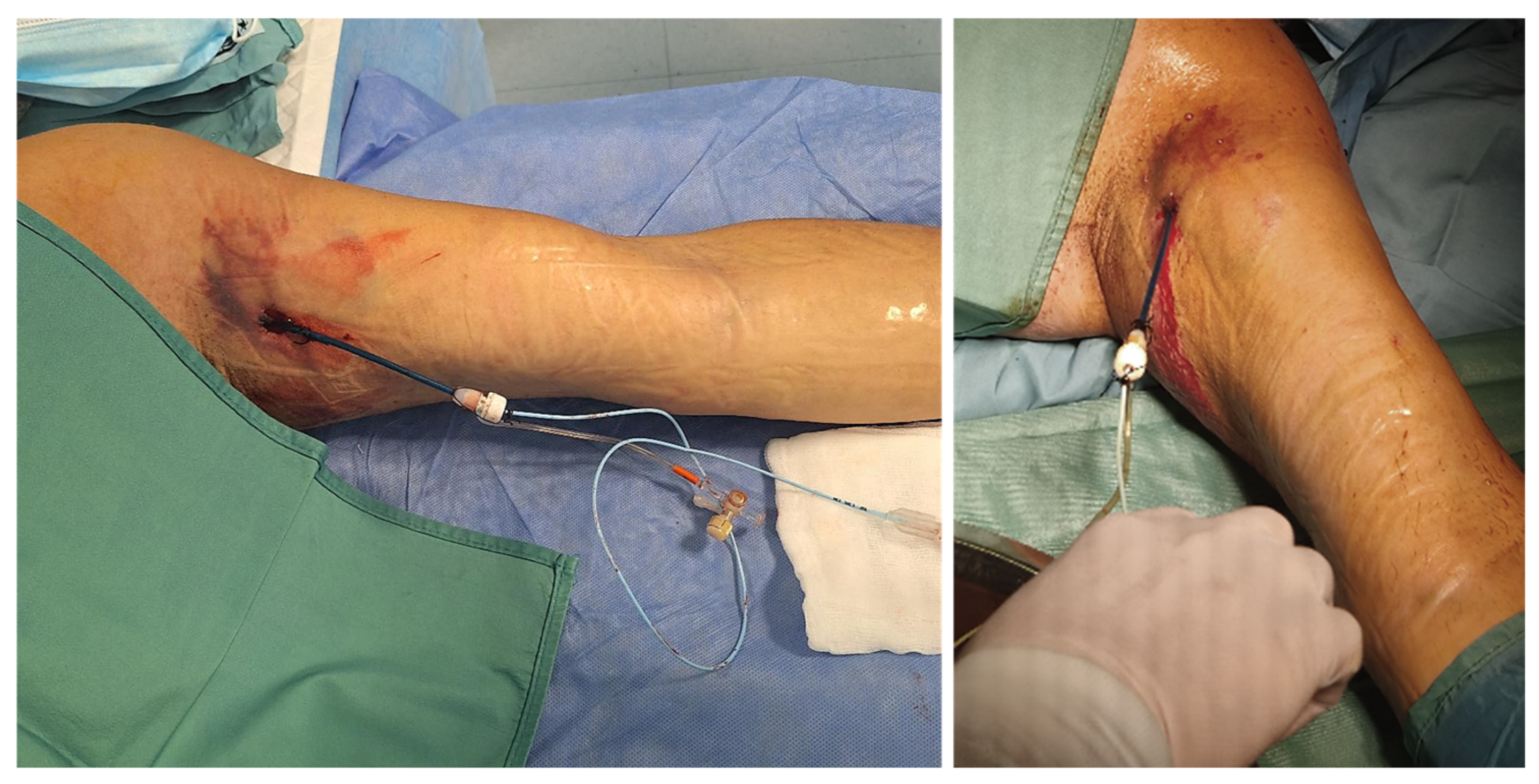 Pharmaceuticals 18 00584 g005