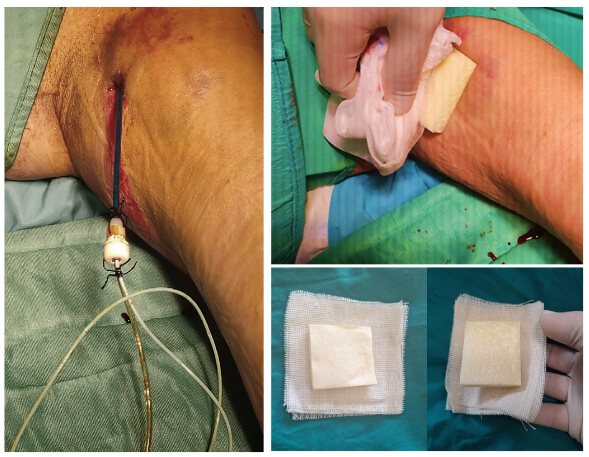 Pharmaceuticals 18 00584 g006