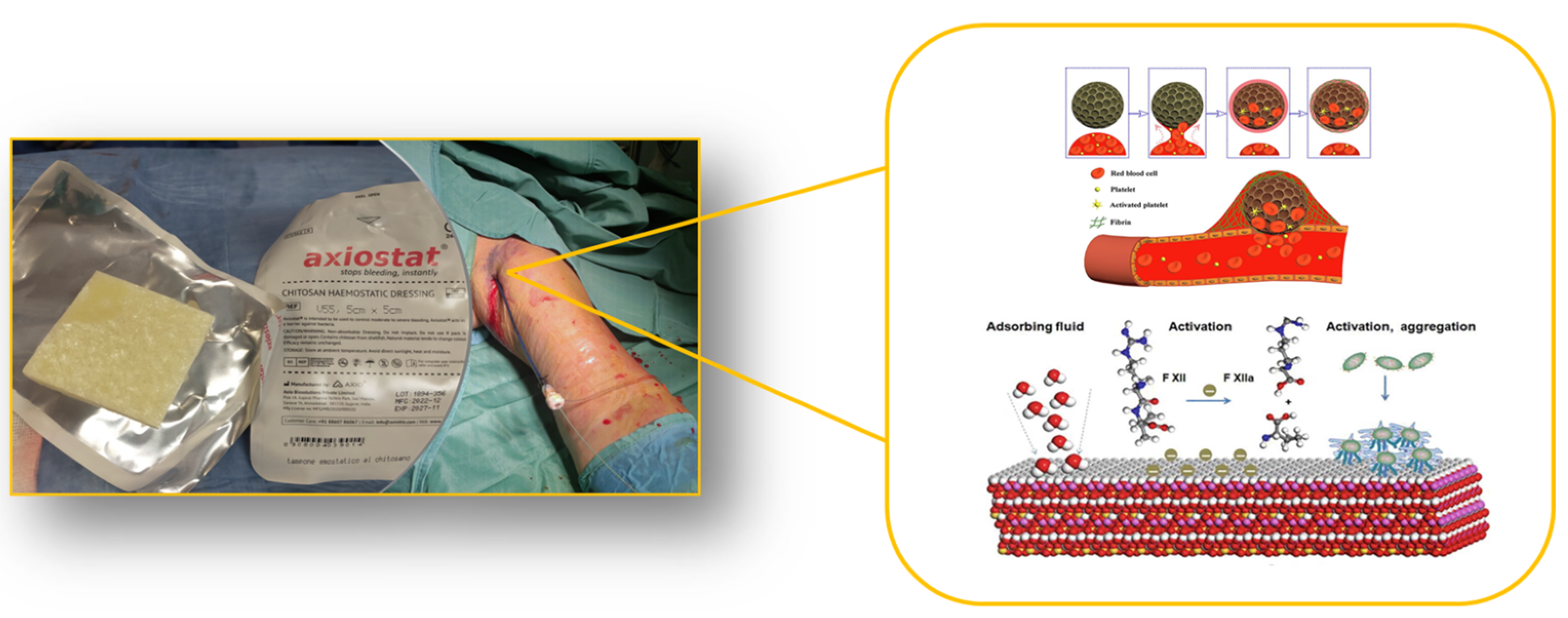 Pharmaceuticals 18 00584 sch001