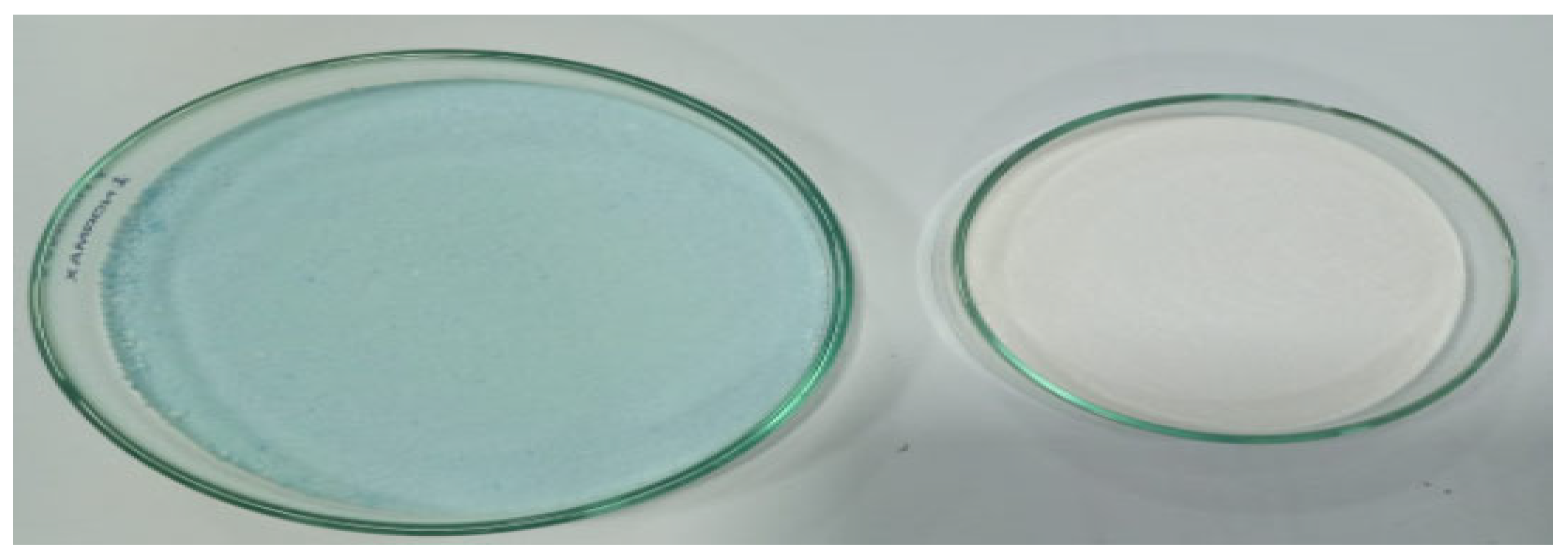 Pharmaceuticals 18 00590 g019