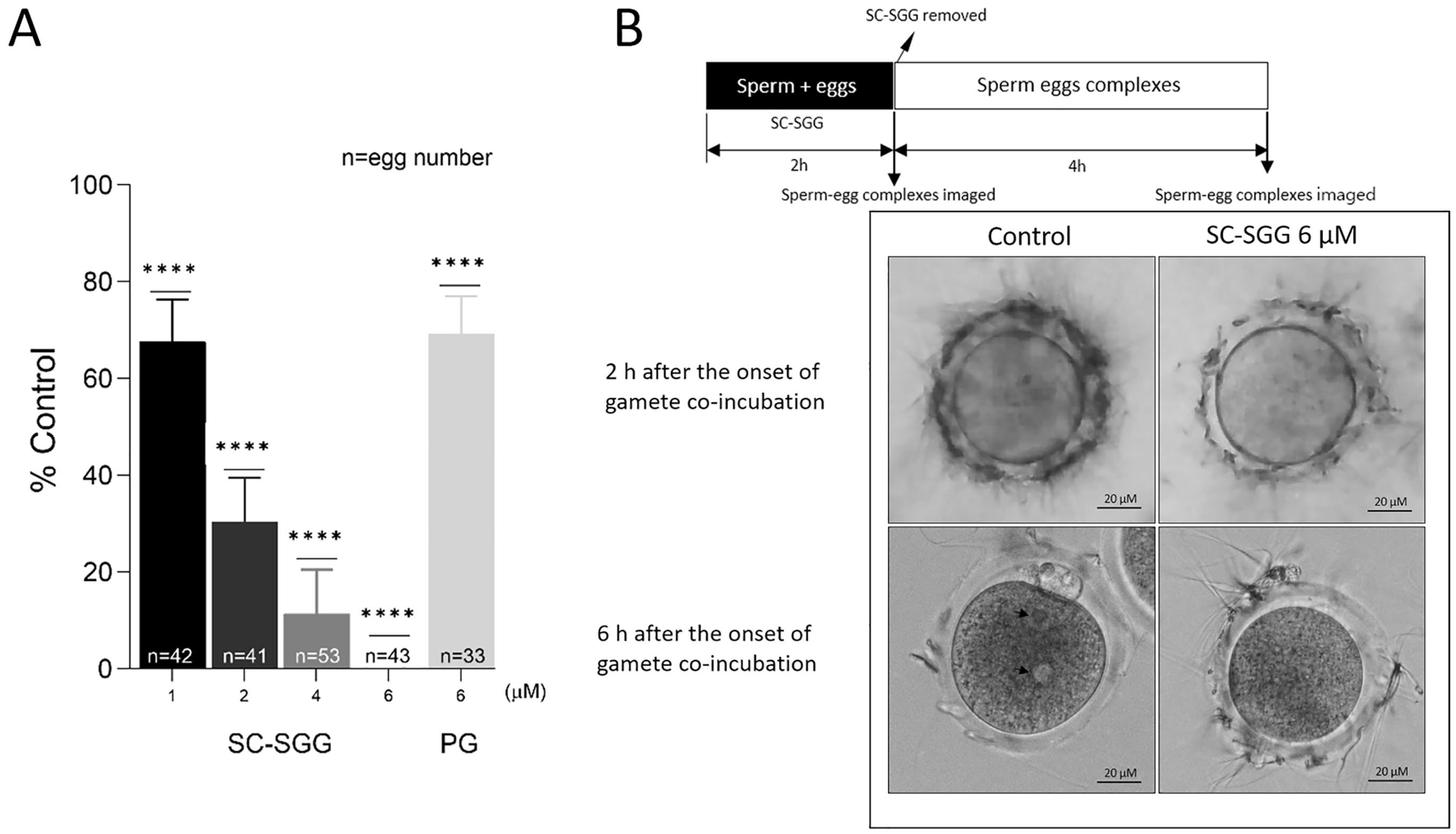 Pharmaceuticals 18 00611 g004