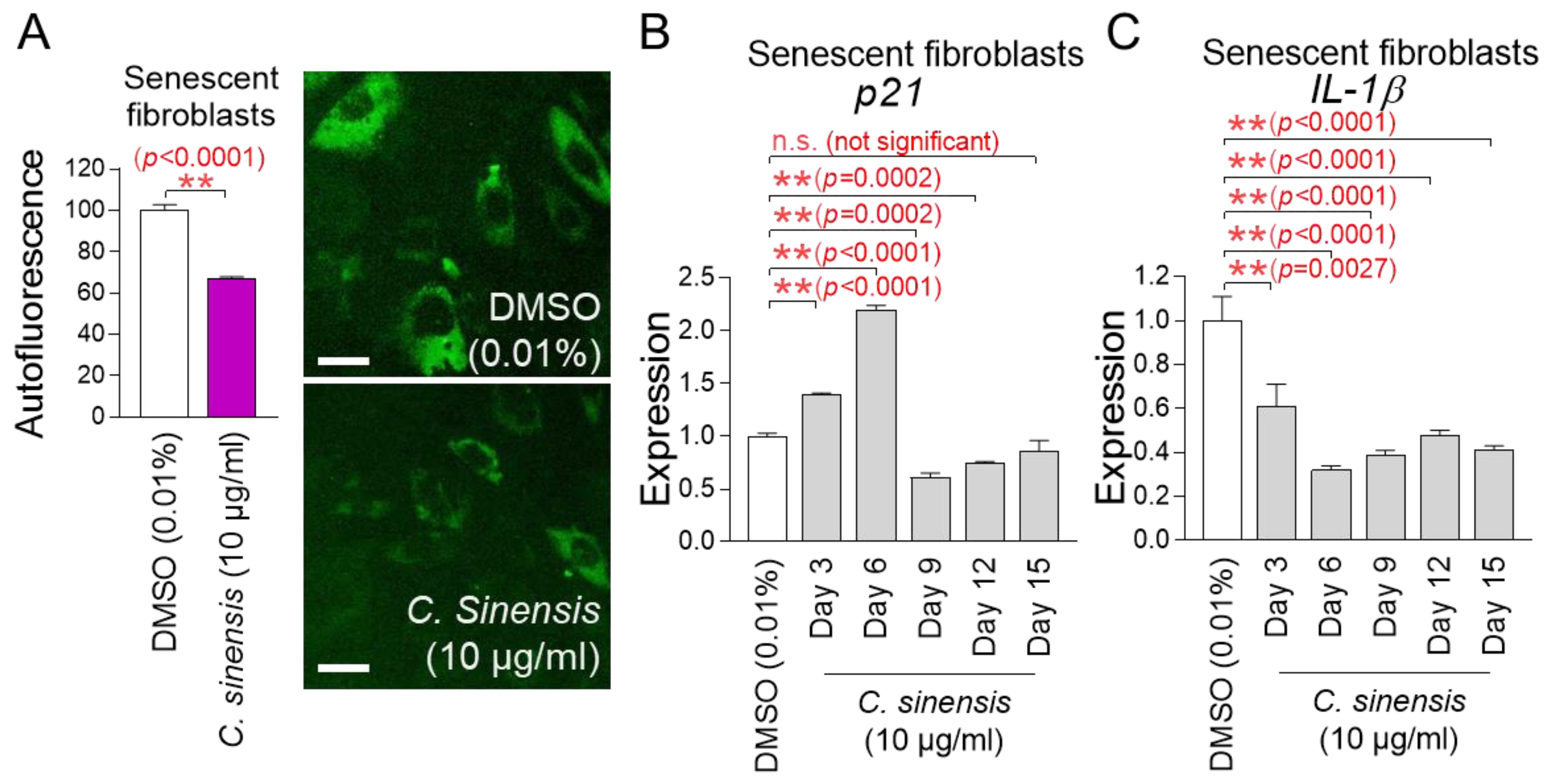 Pharmaceuticals 18 00612 g004