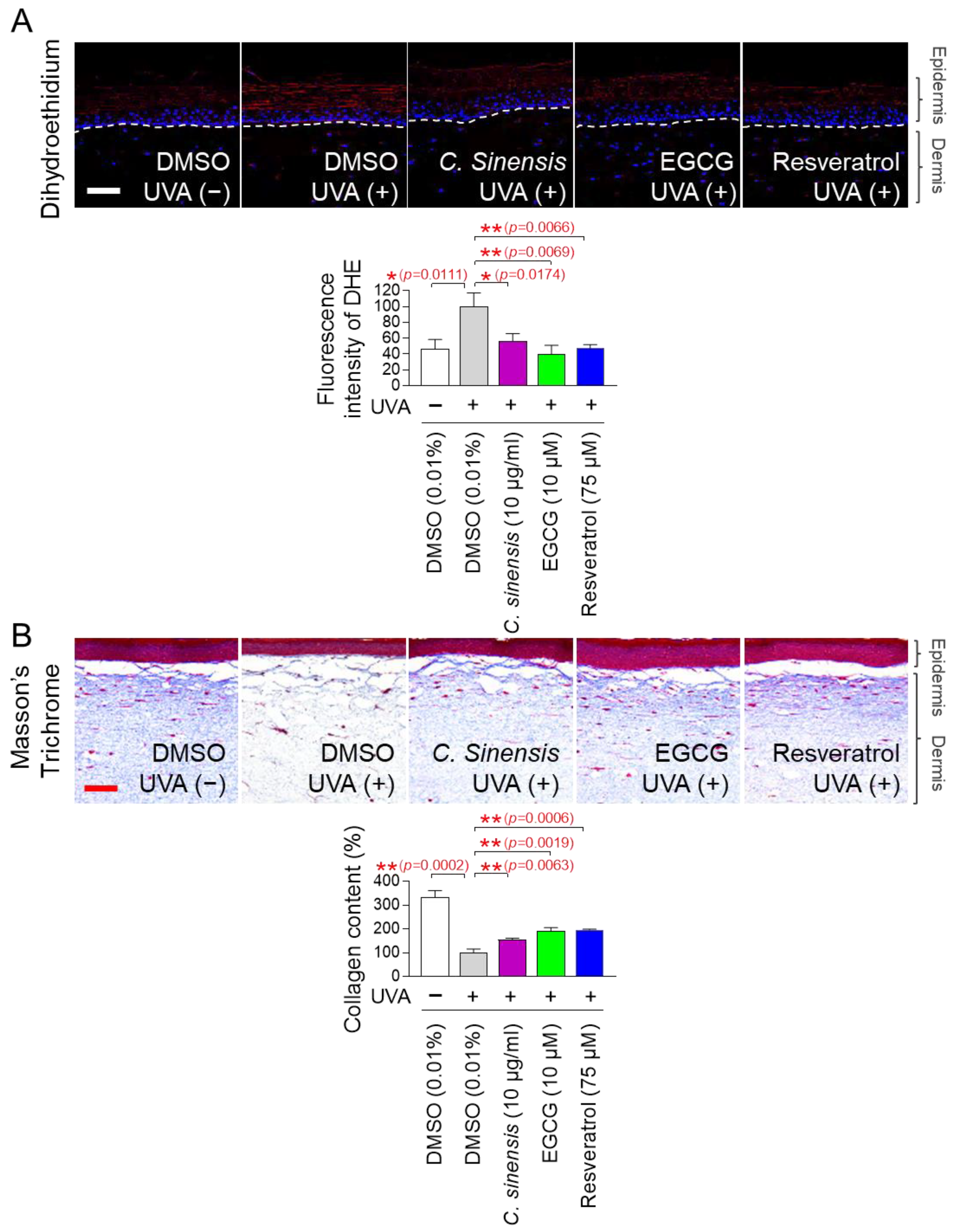 Pharmaceuticals 18 00612 g010