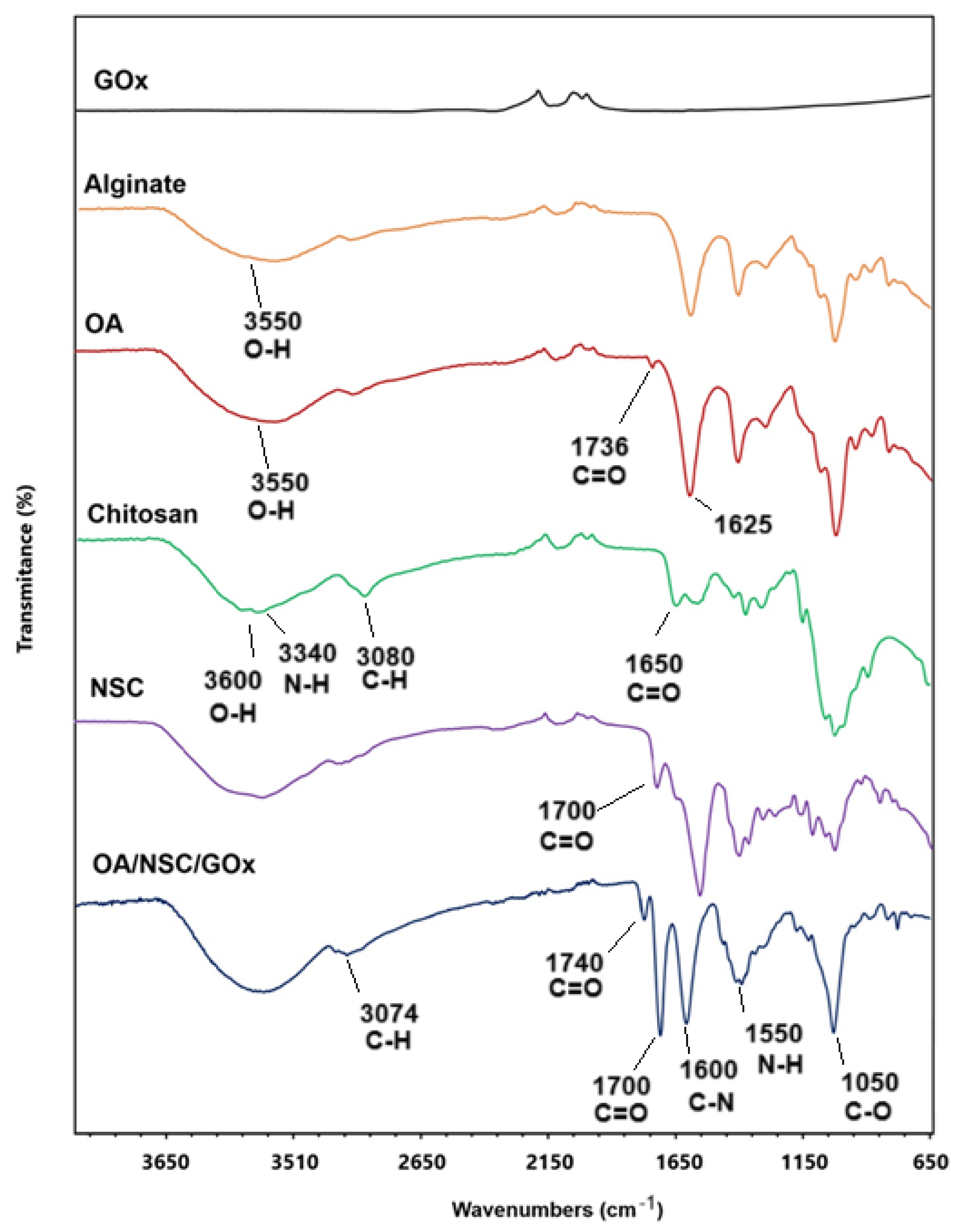Pharmaceuticals 18 00616 g002