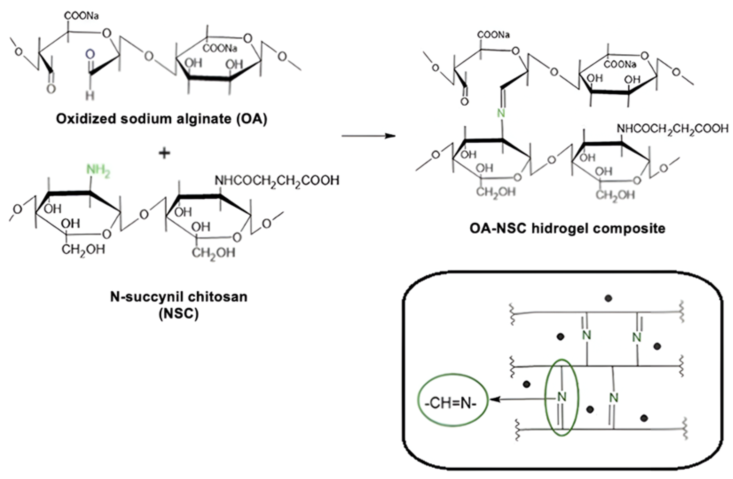 Pharmaceuticals 18 00616 sch006