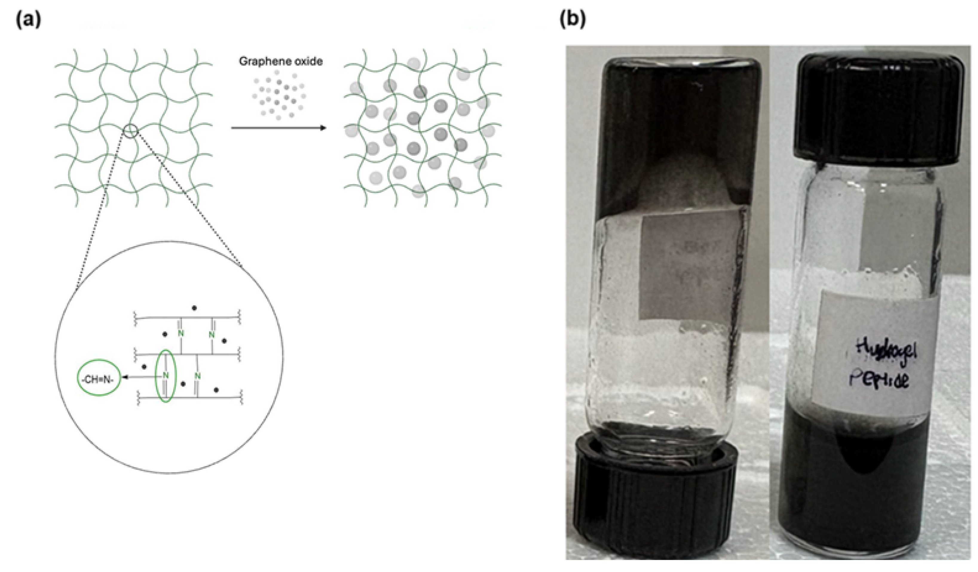 Pharmaceuticals 18 00616 sch007