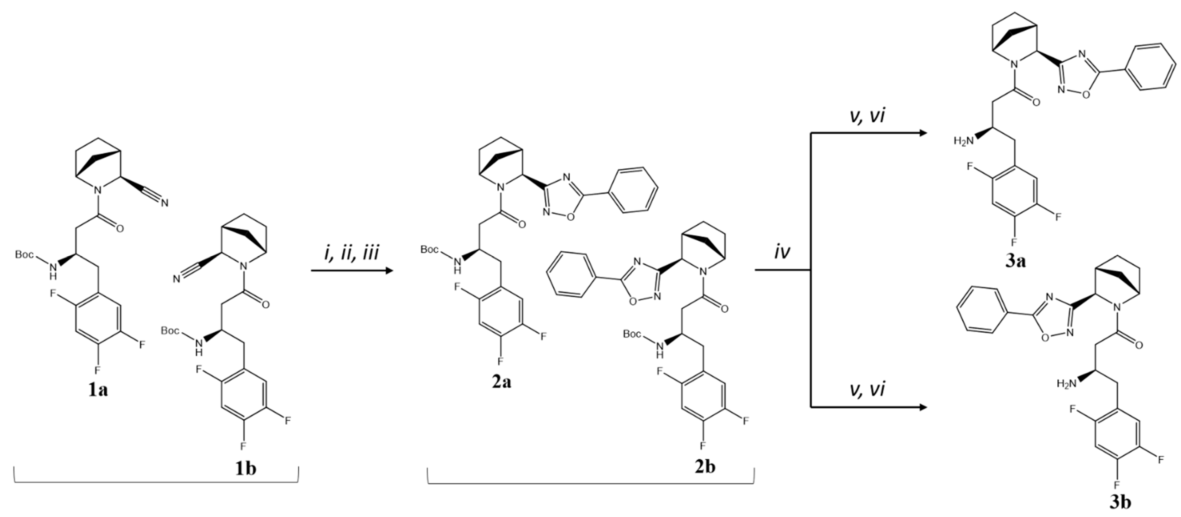 Pharmaceuticals 18 00642 g002