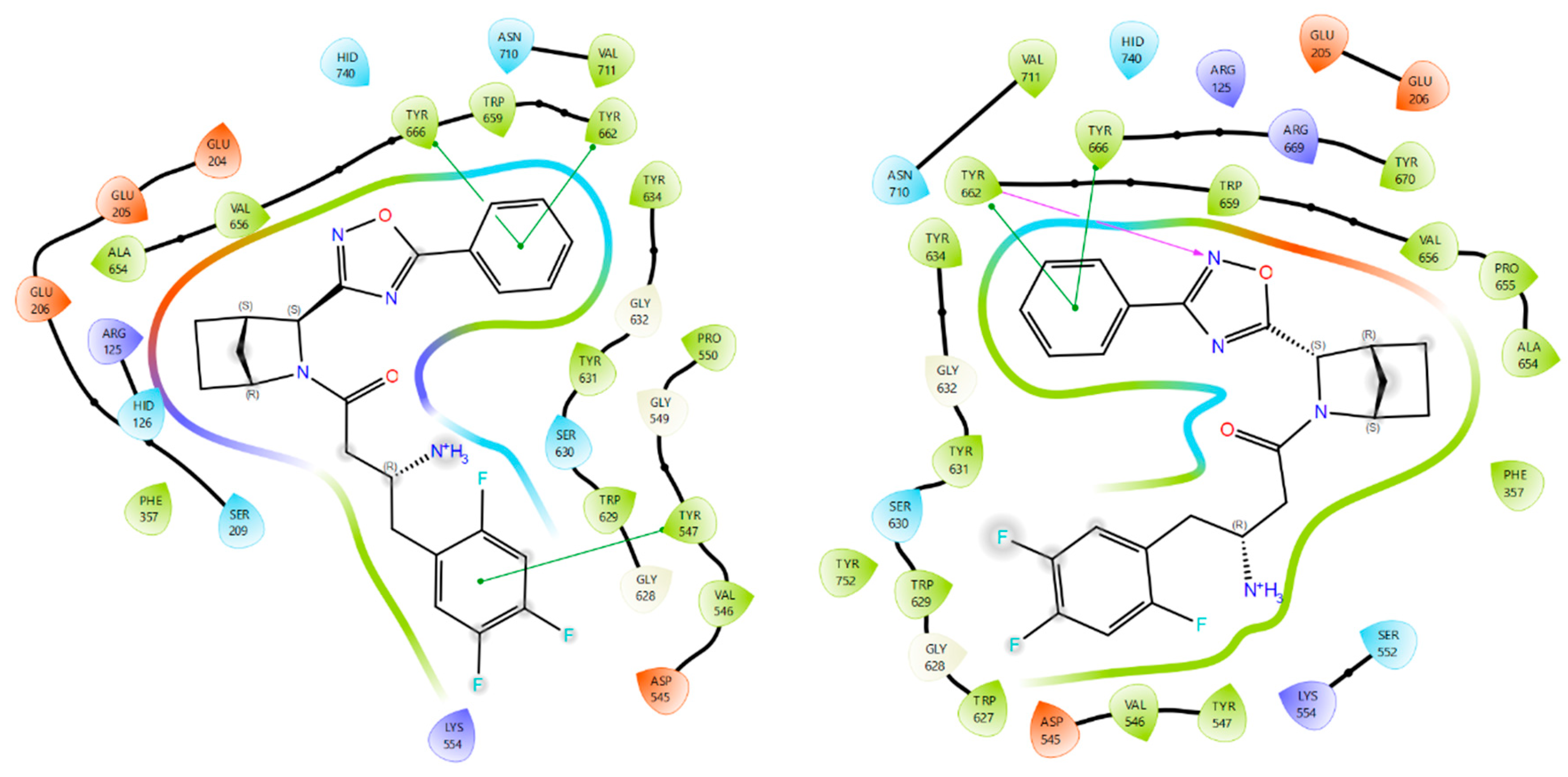 Pharmaceuticals 18 00642 g005a