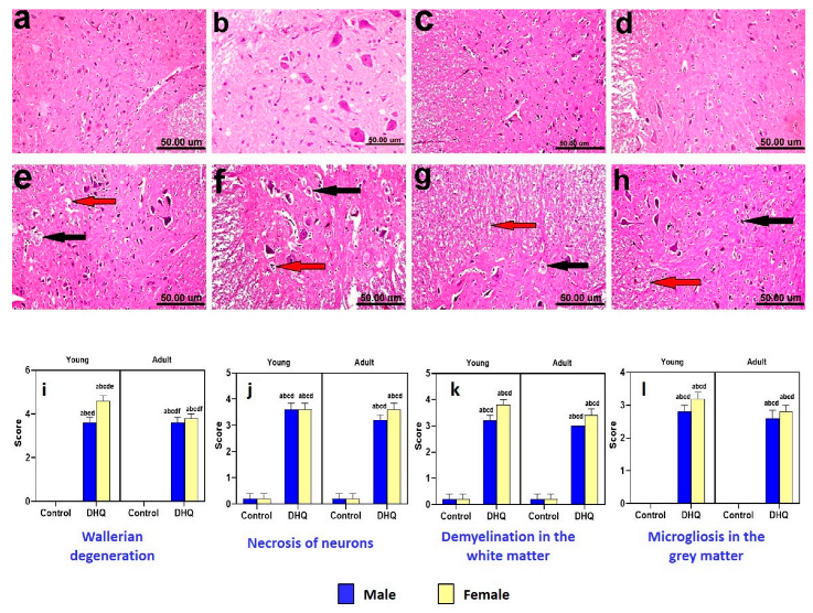 Pharmaceuticals 18 00645 i001