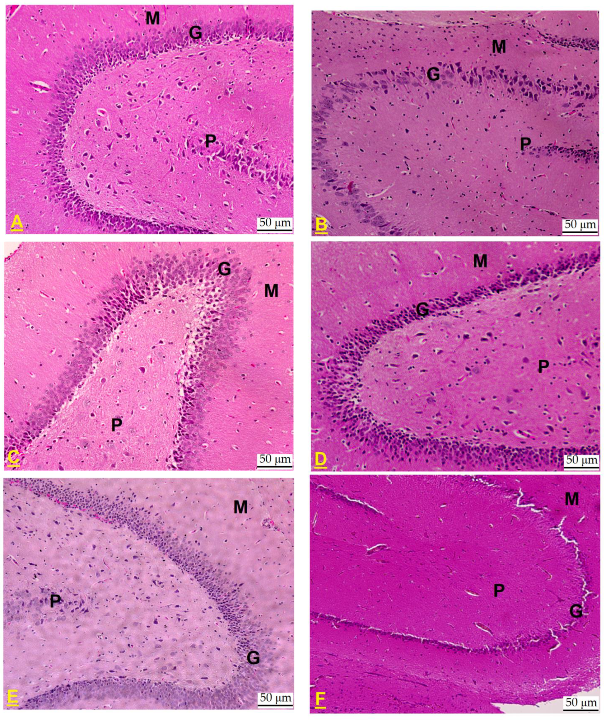 Pharmaceuticals 18 00657 g004