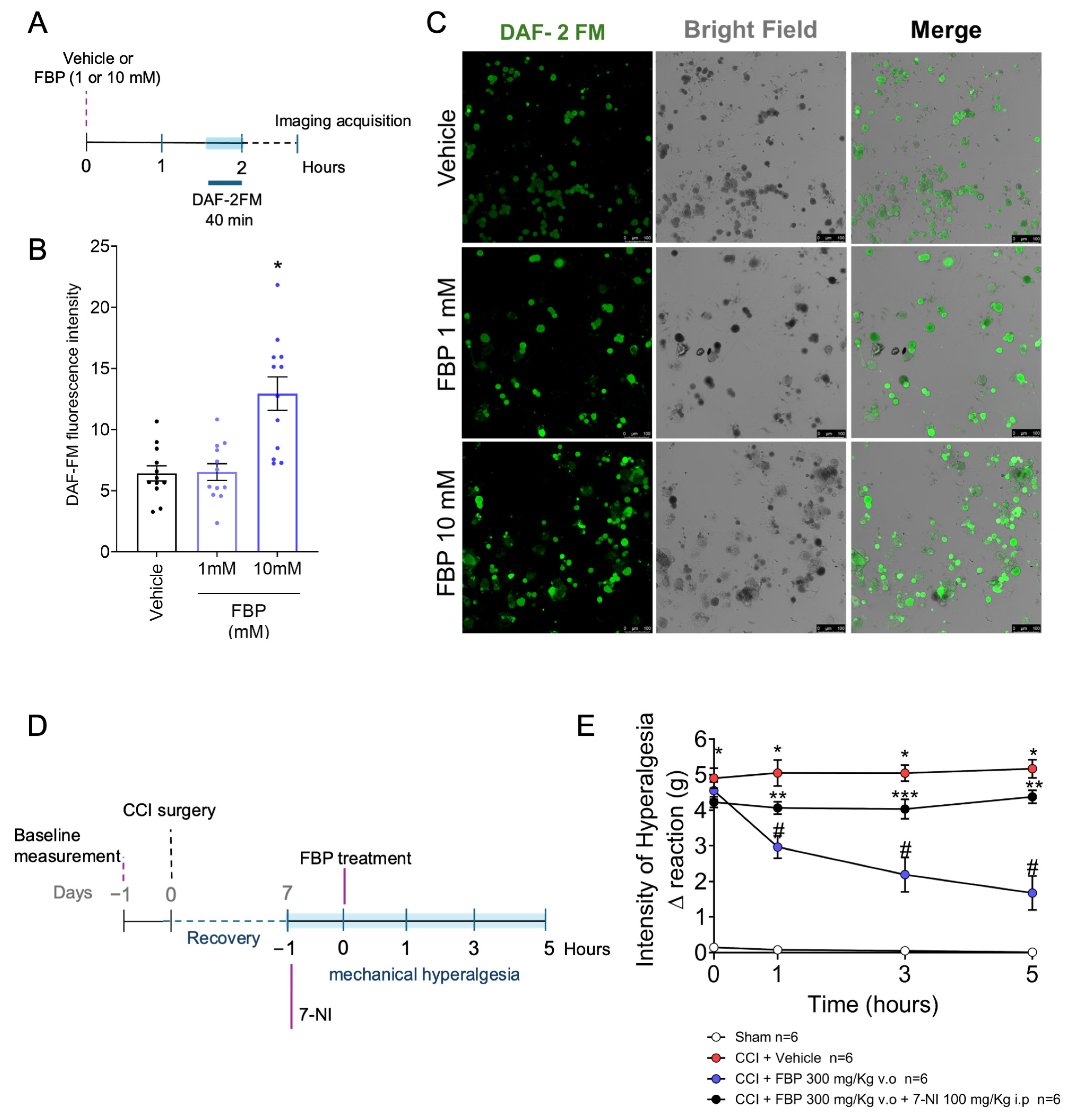 Pharmaceuticals 18 00660 g006