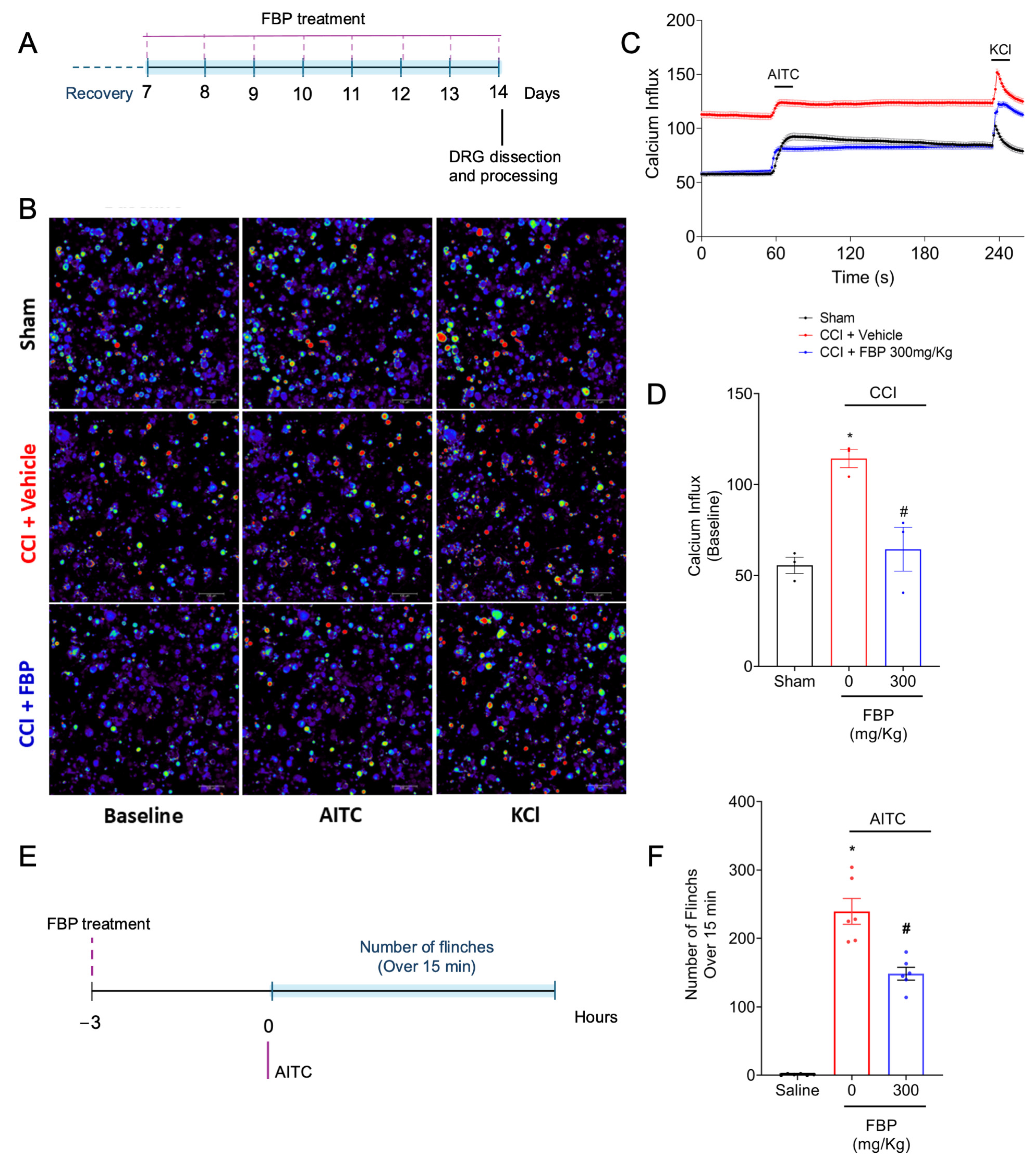 Pharmaceuticals 18 00660 g007