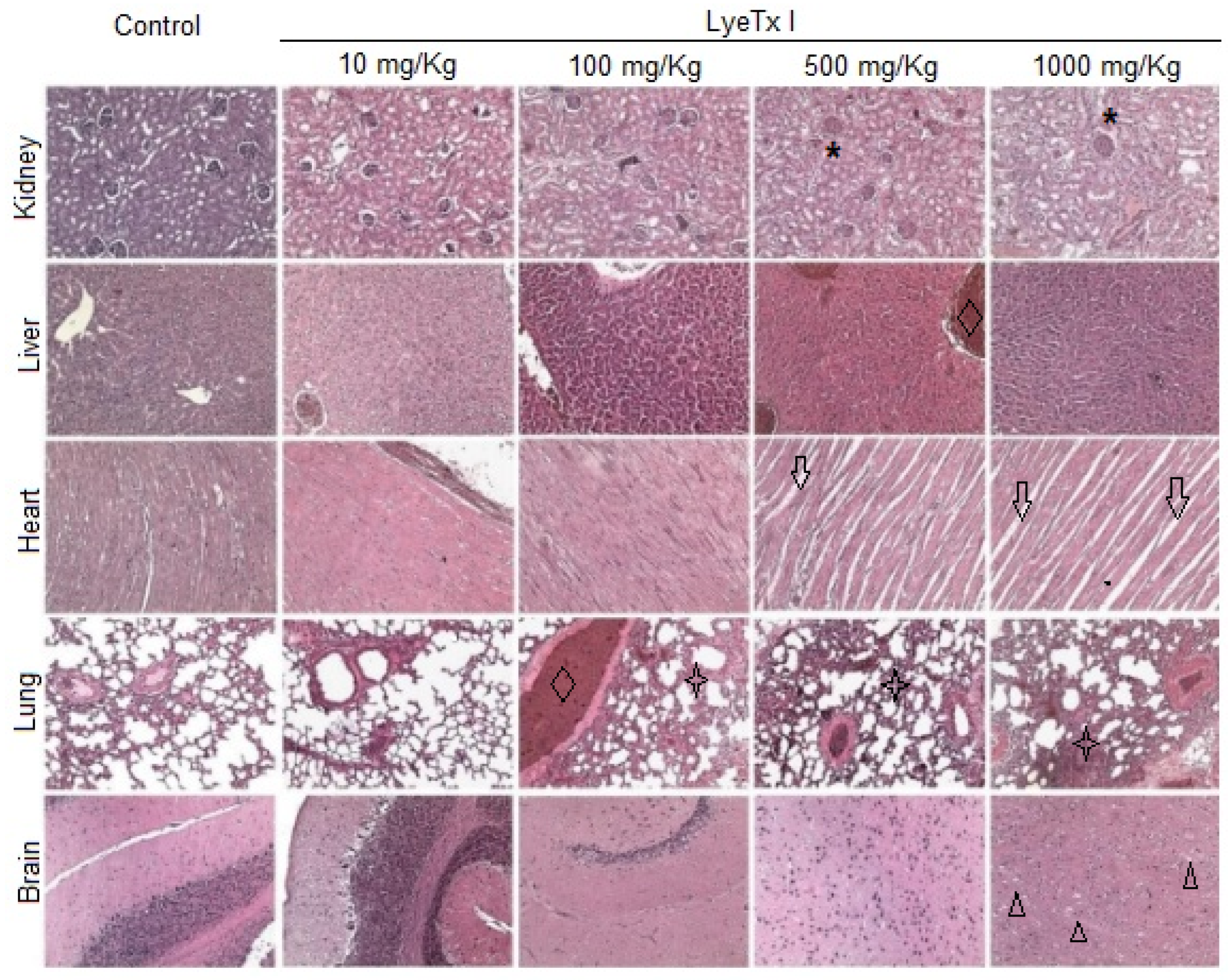 Pharmaceuticals 18 00679 g006