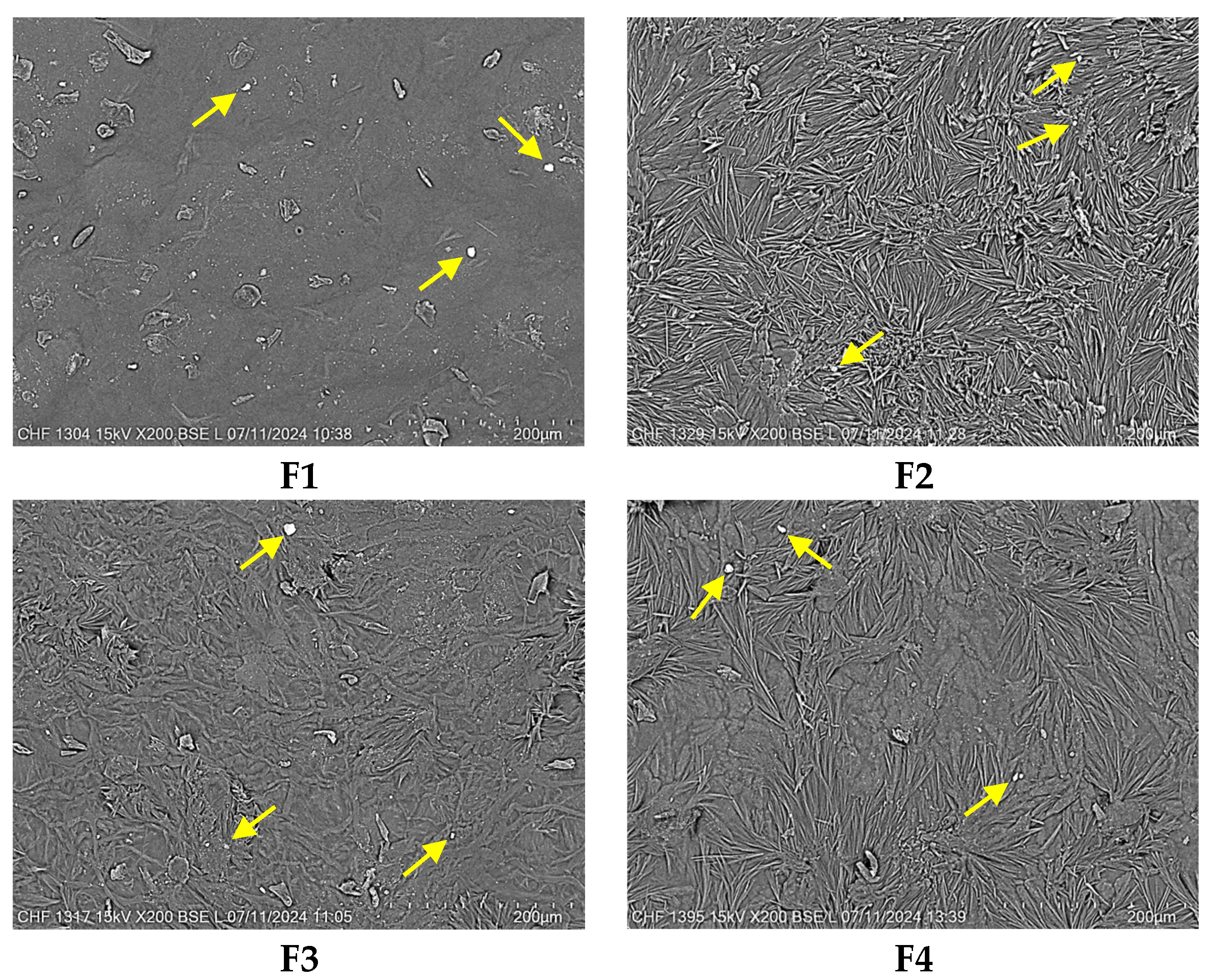 Pharmaceuticals 18 00689 g001