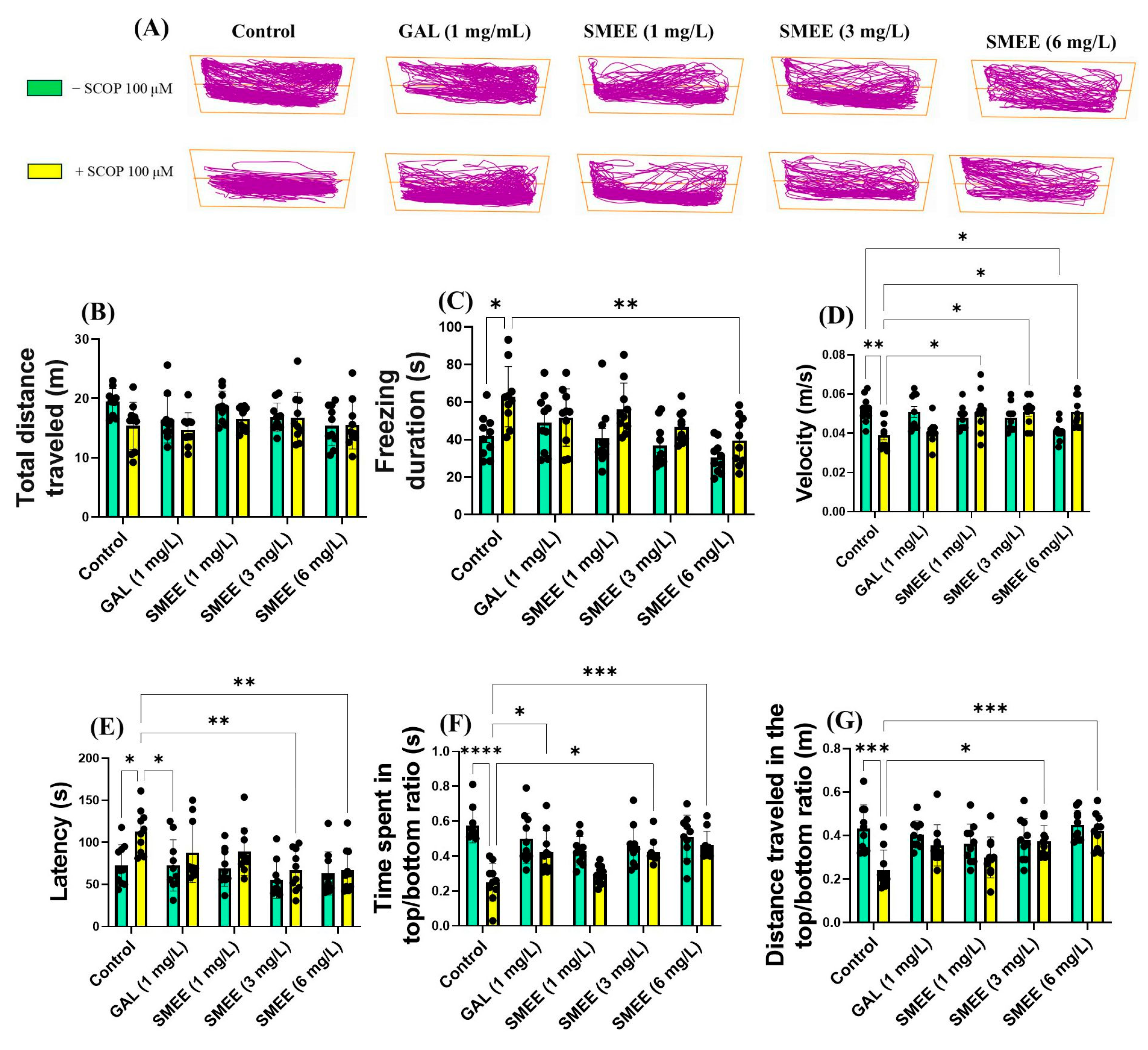Pharmaceuticals 18 00706 g003 Pharmaceuticals 18 00706 g003