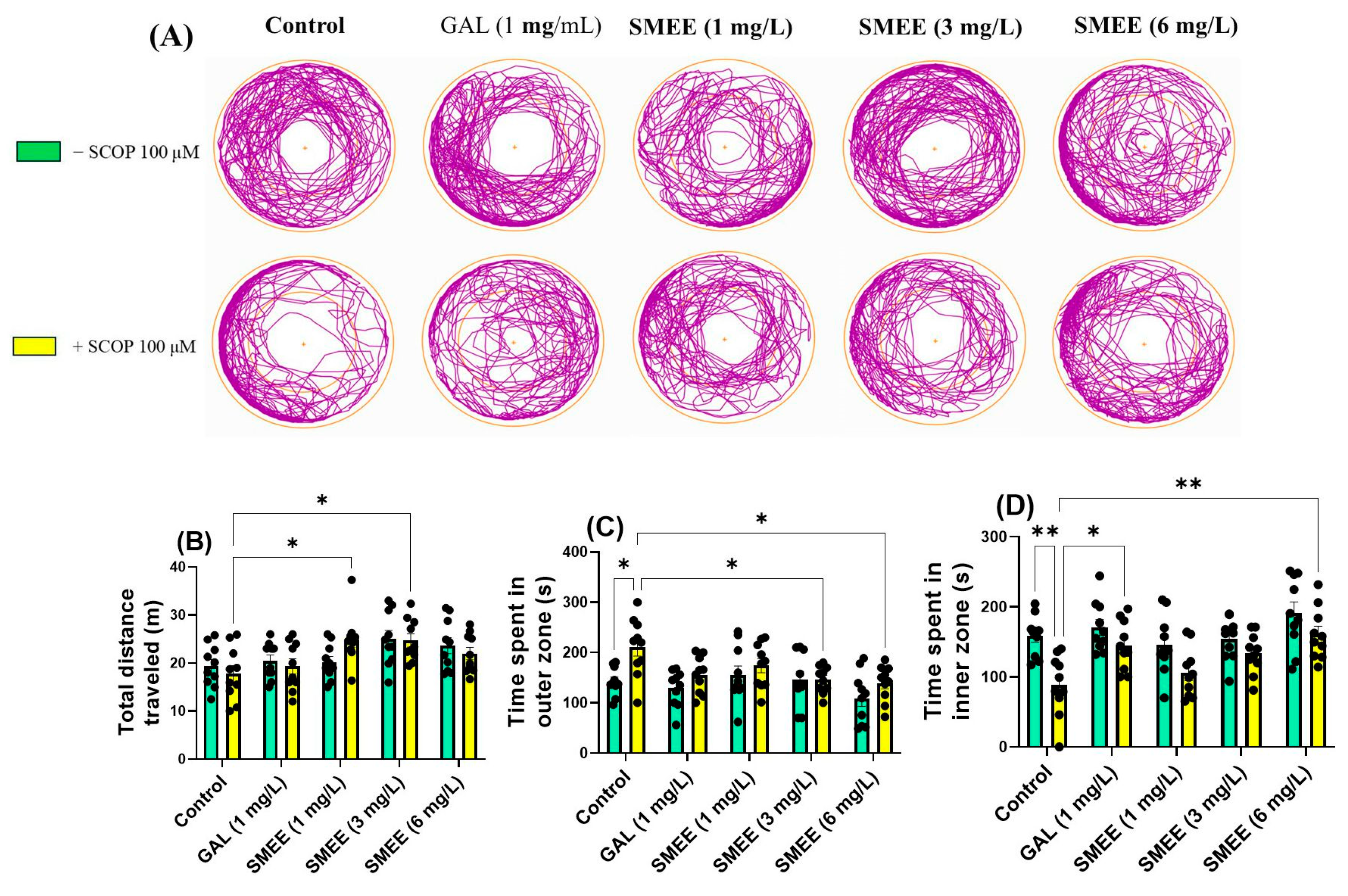Pharmaceuticals 18 00706 g004 Pharmaceuticals 18 00706 g004